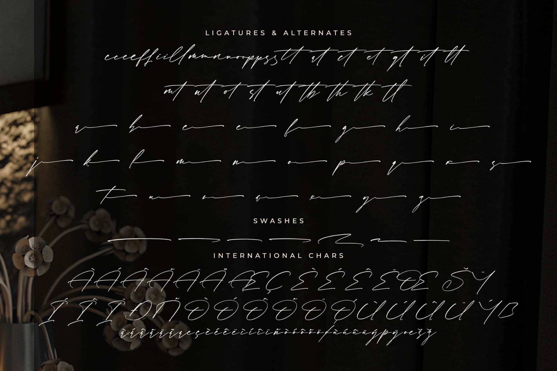 Preview 14 for Rosatlinde – Elegant Signature Script