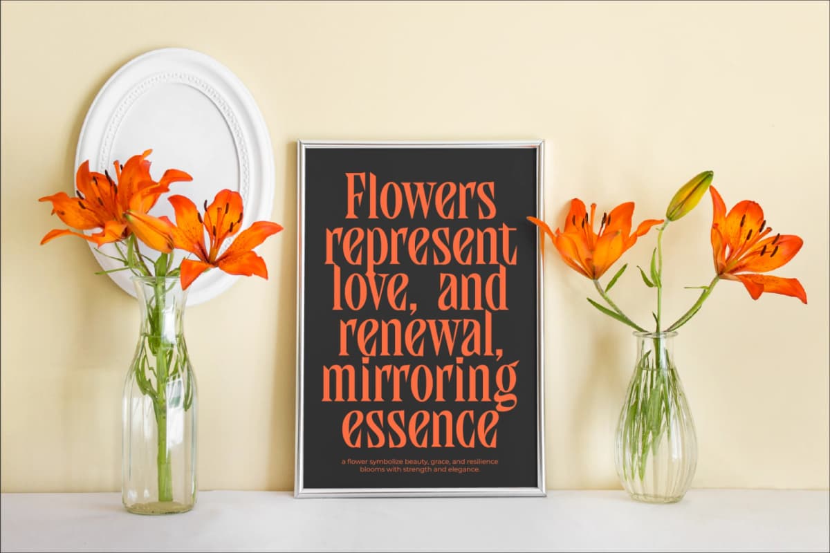 Qandera - Modern Display Serif Font font preview 7