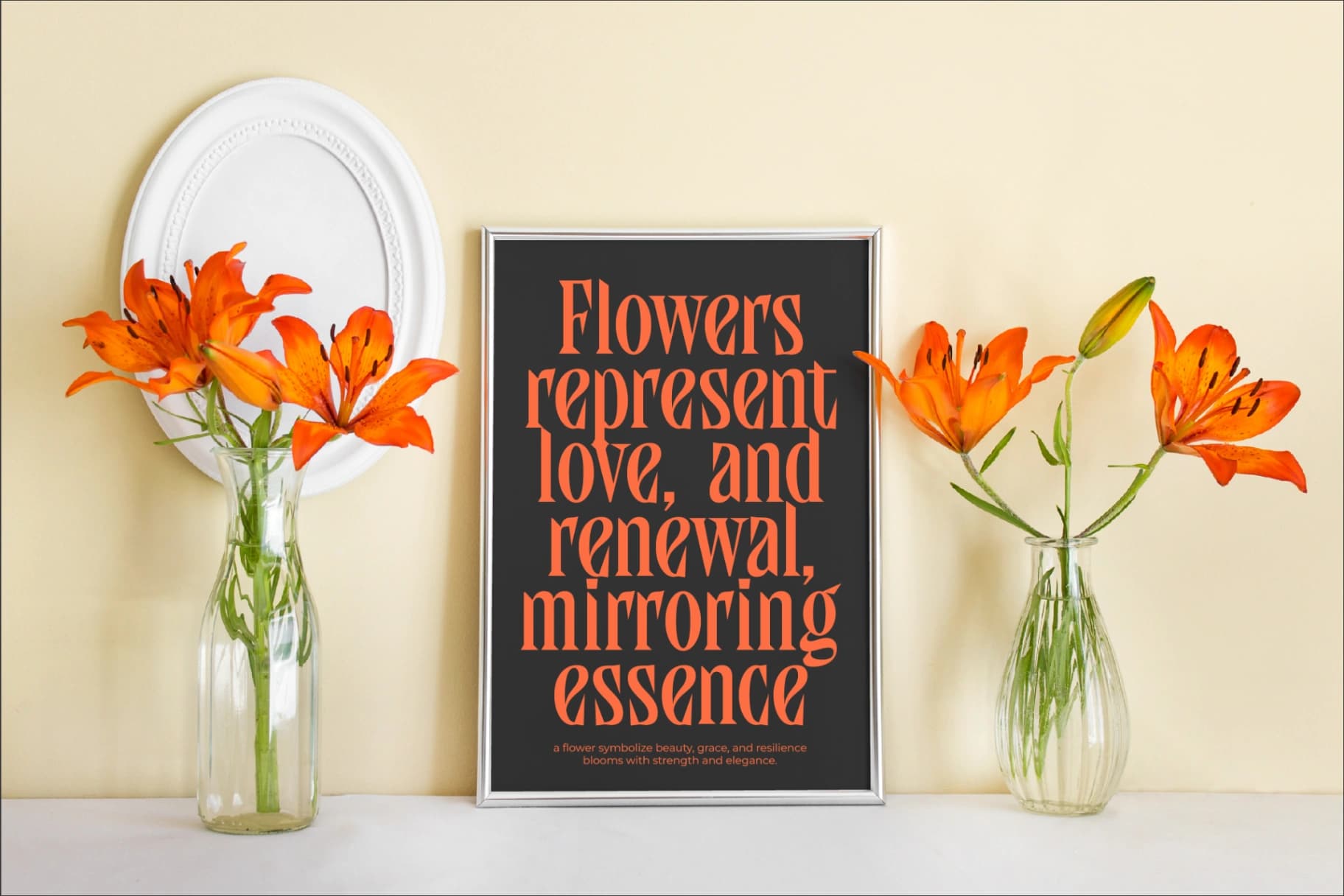 Preview 7 for Qandera - Modern Display Serif Font