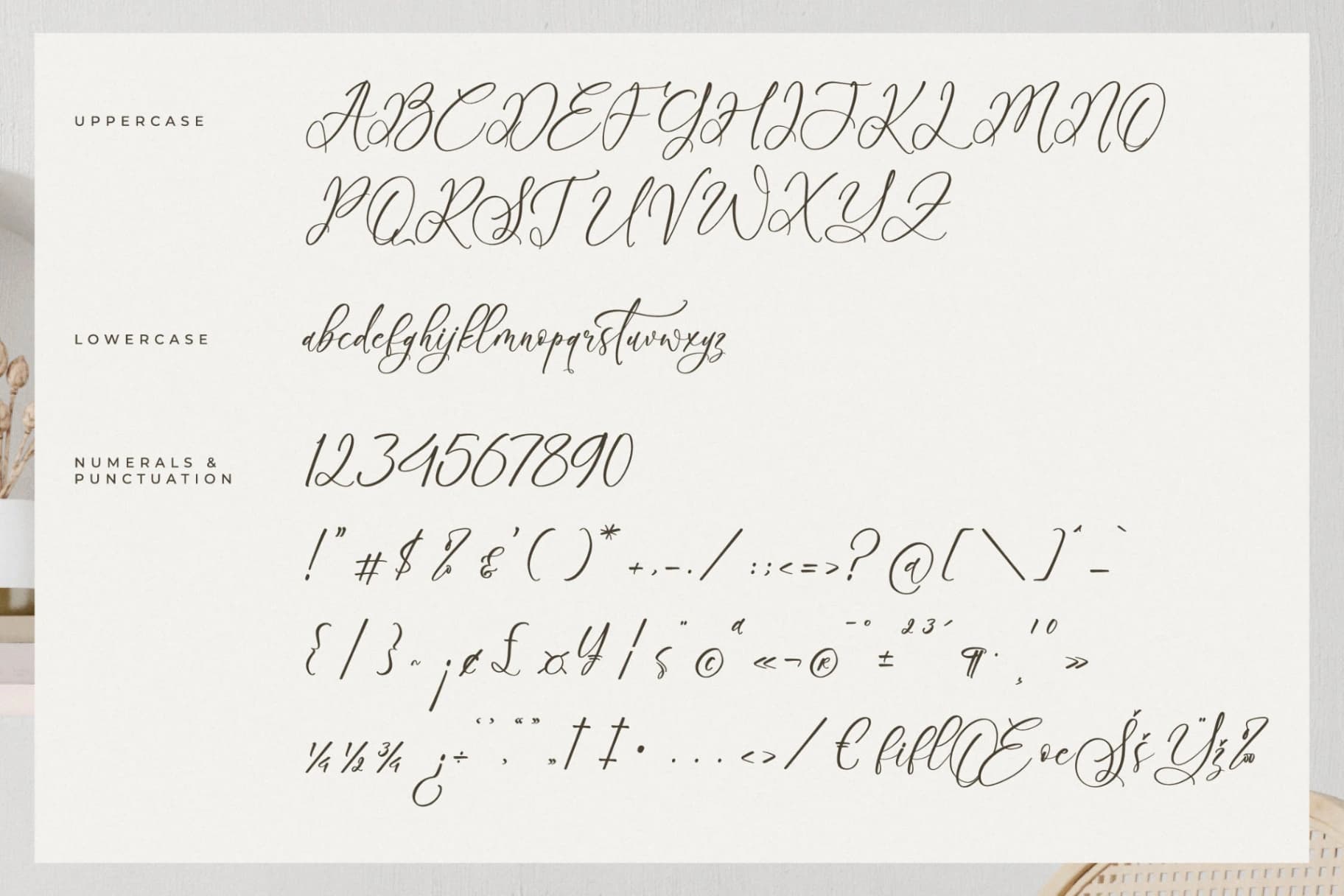 Preview 13 for Boutiquen Serahpine – Modern Calligraphy Font