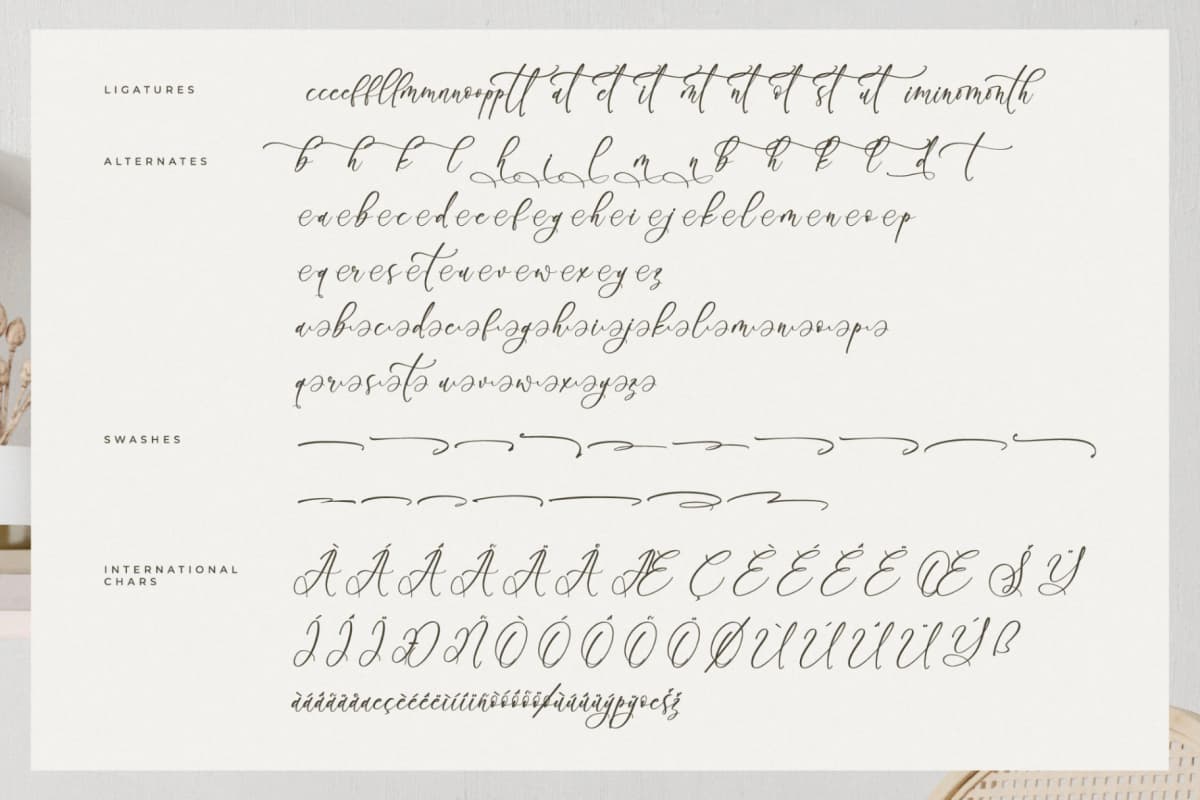 Preview 14 for Boutiquen Serahpine – Modern Calligraphy Font