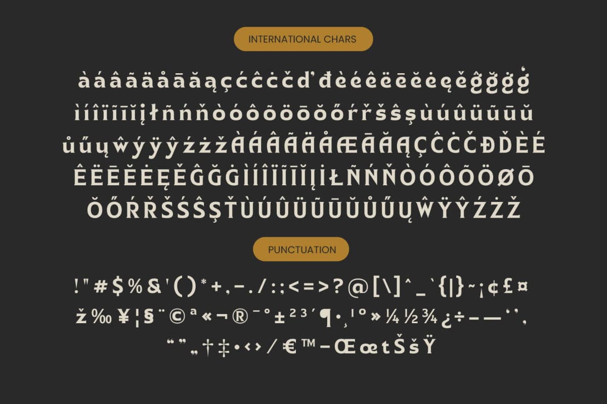 Namio Magah - Modern Display Serif font preview 19