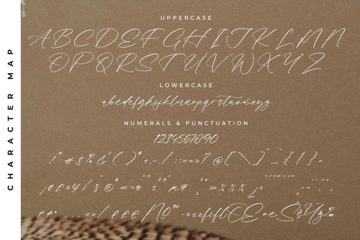 Fasttelo Engelliy – Modern Elegant Script font preview 13