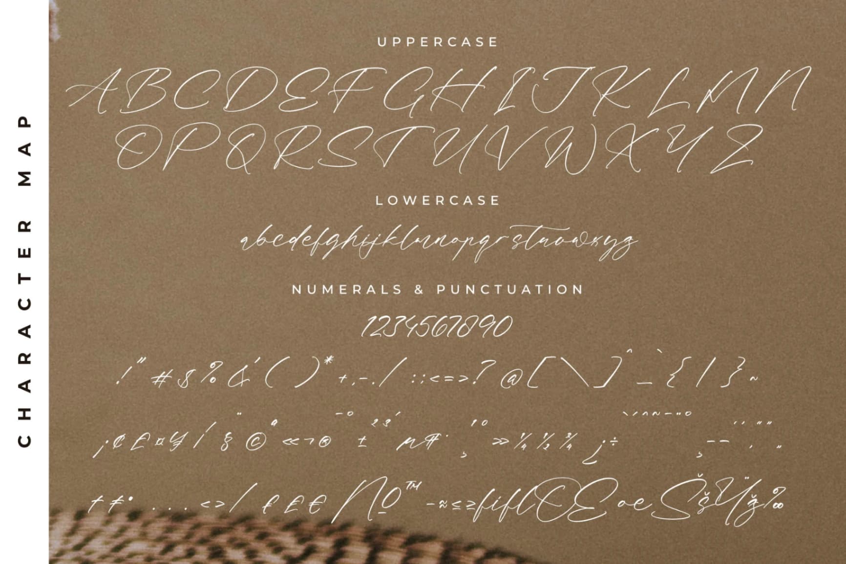 Preview 13 for Fasttelo Engelliy – Modern Elegant Script