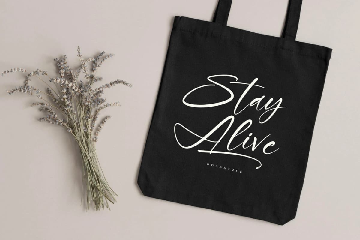 Boldatope – Modern Signature Font font preview 11