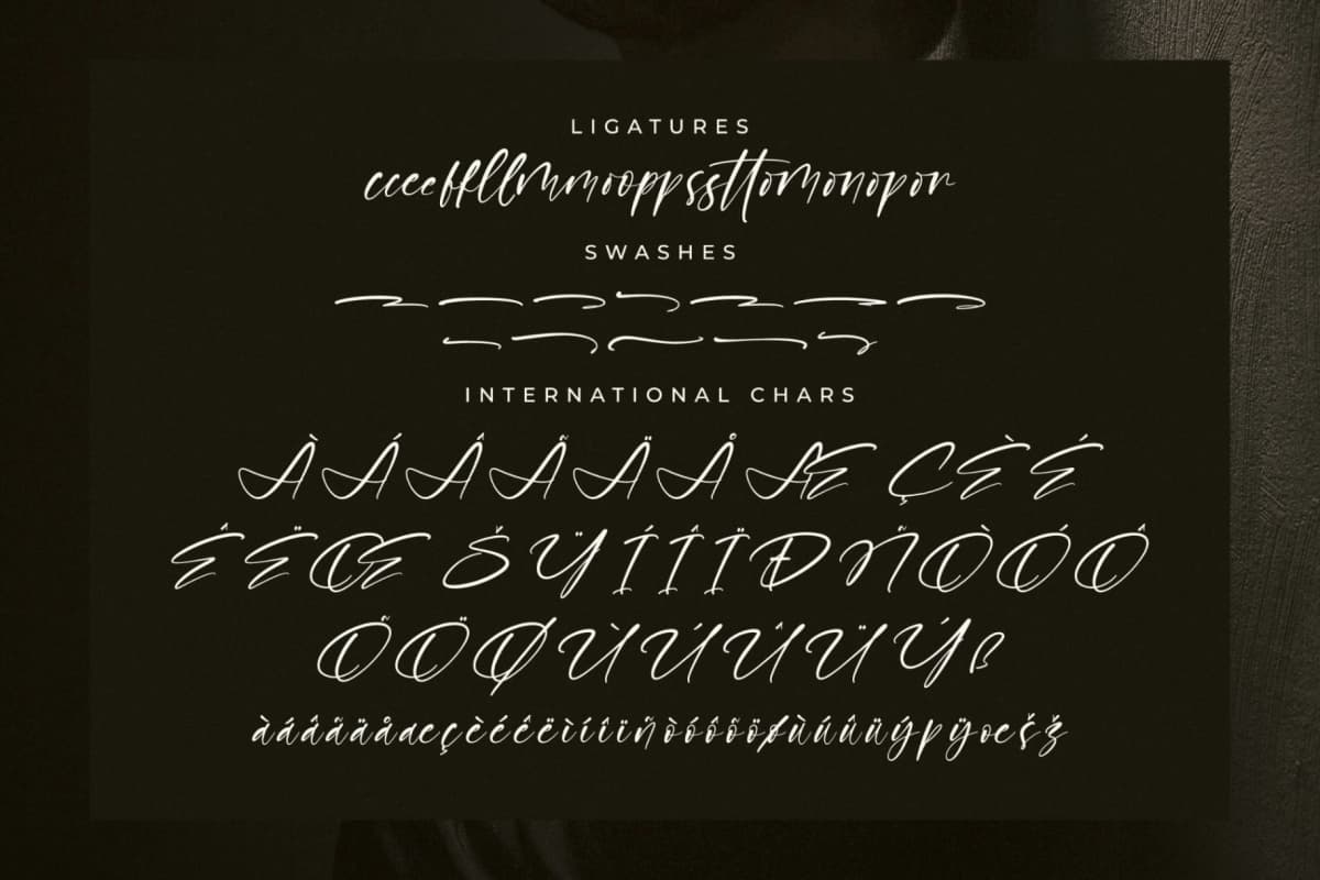 Boldatope – Modern Signature Font font preview 14