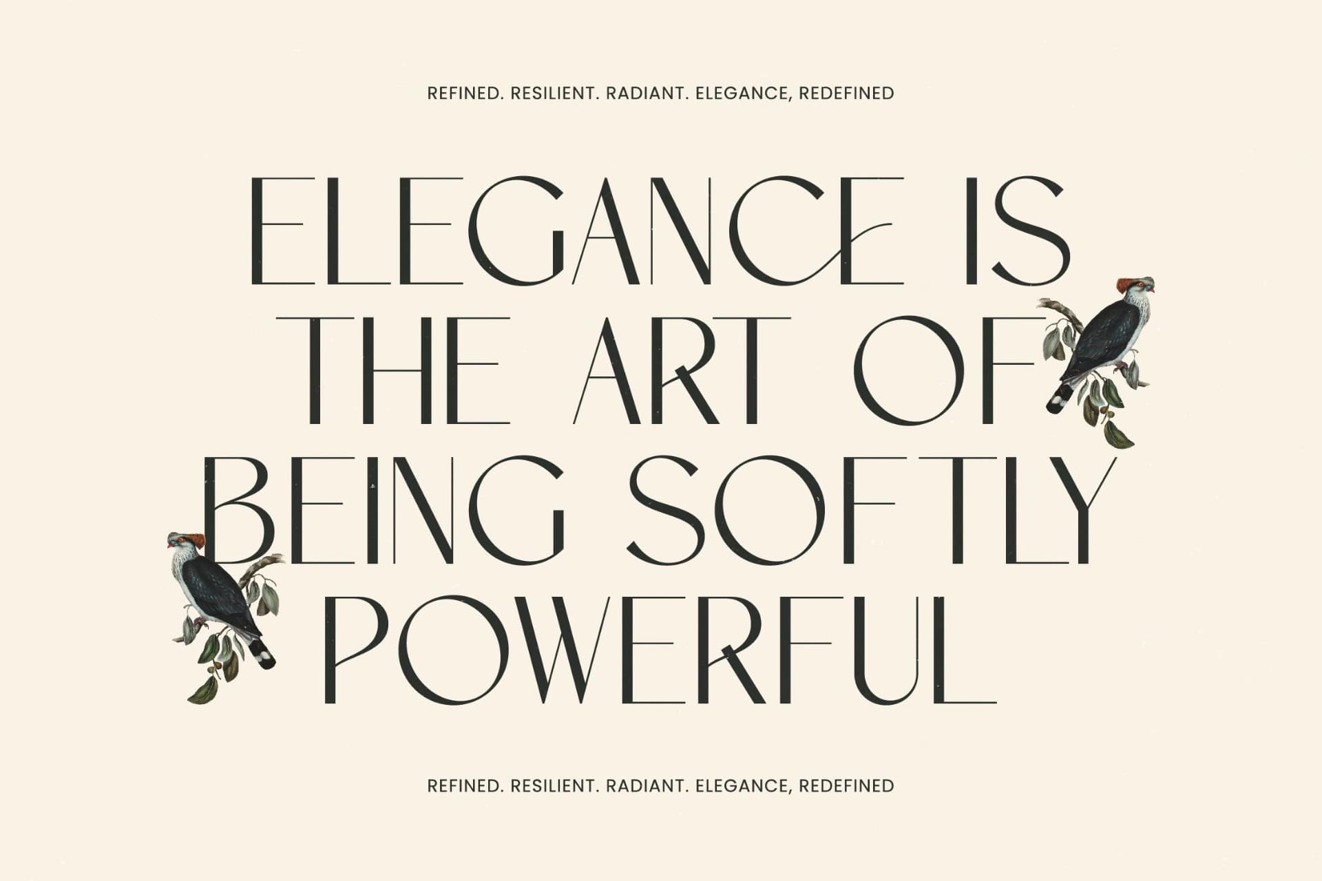Preview 13 for Amira Monte - Elegant Thin Sans Serif Font