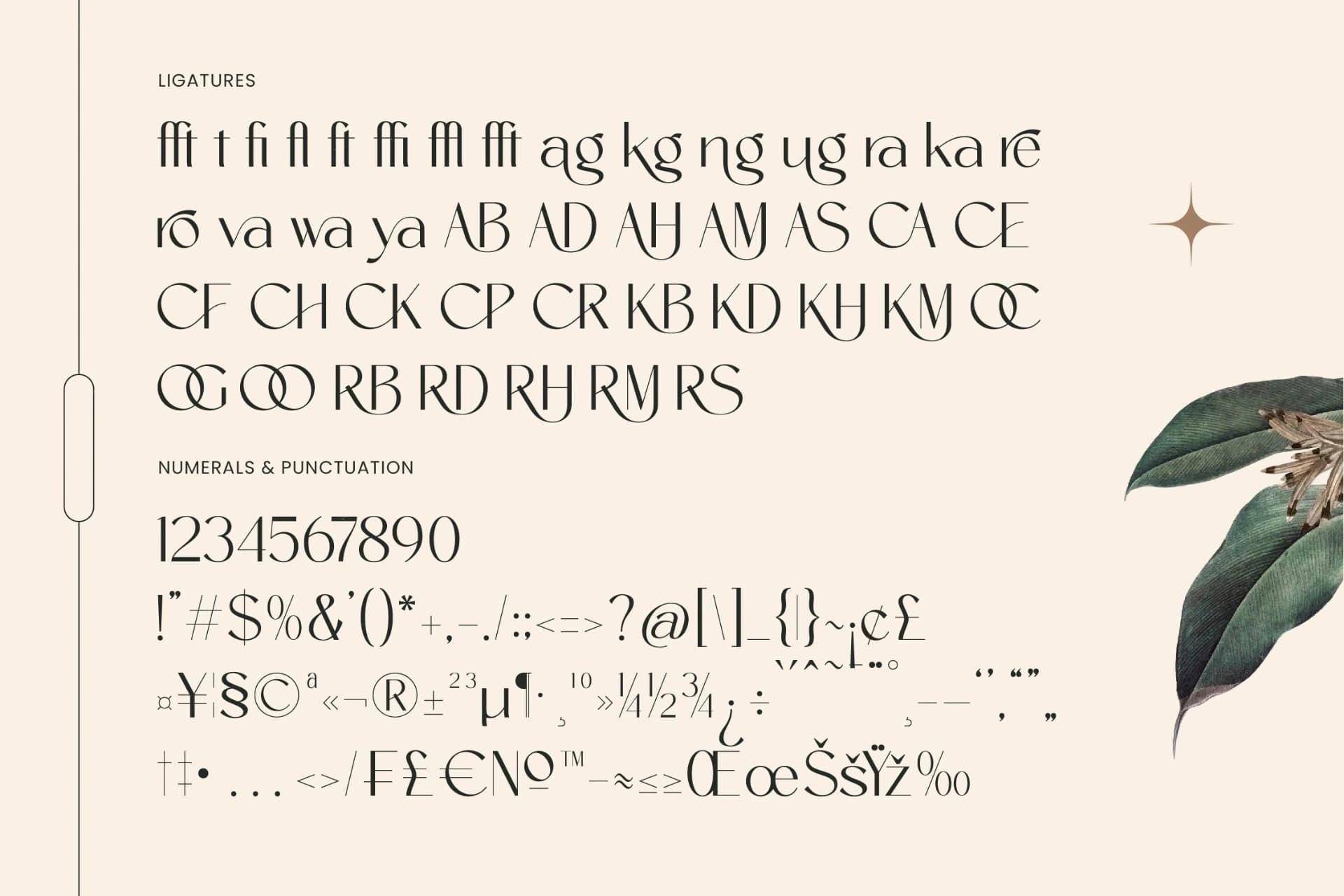 Preview 18 for Amira Monte - Elegant Thin Sans Serif Font