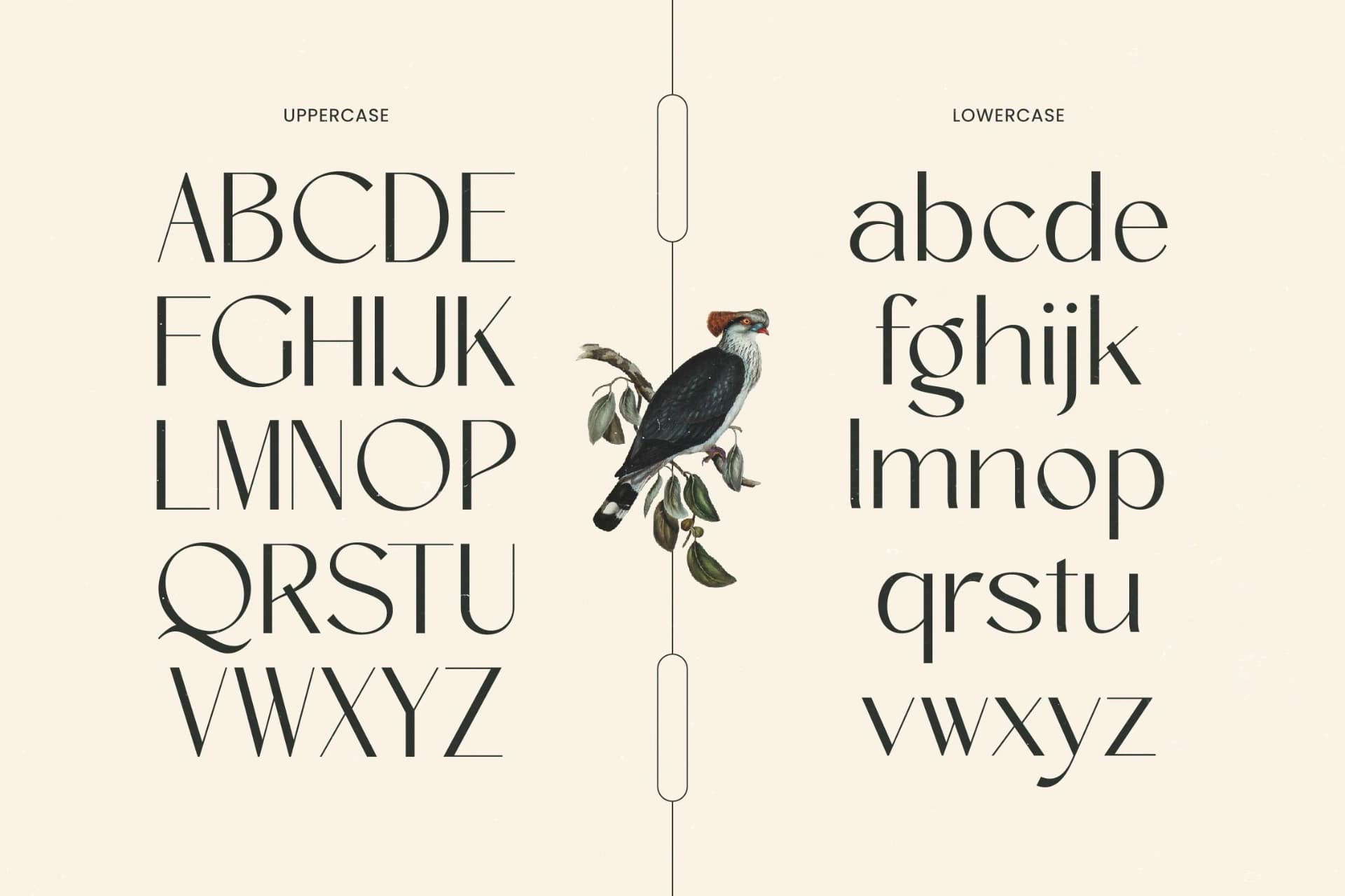 Preview 9 for Amira Monte - Elegant Thin Sans Serif Font