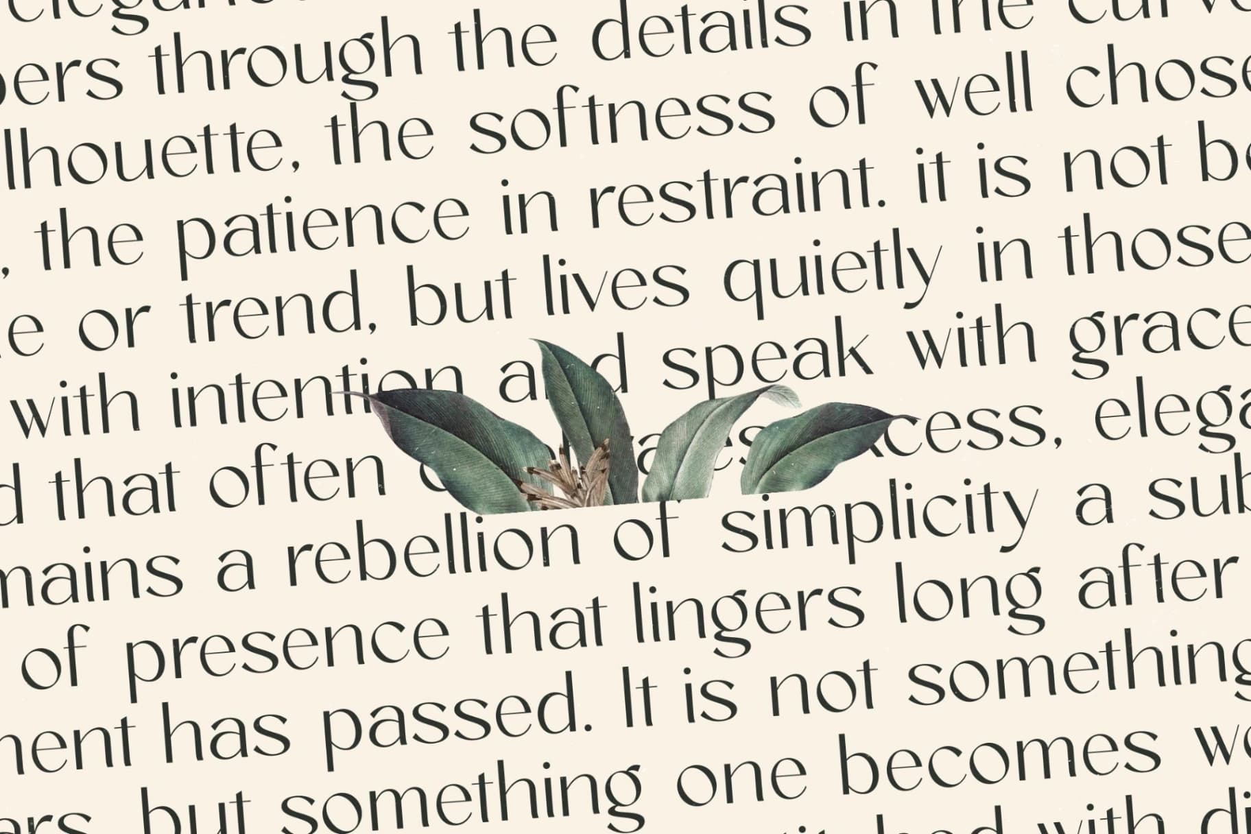 Preview 12 for Amira Monte - Elegant Thin Sans Serif Font