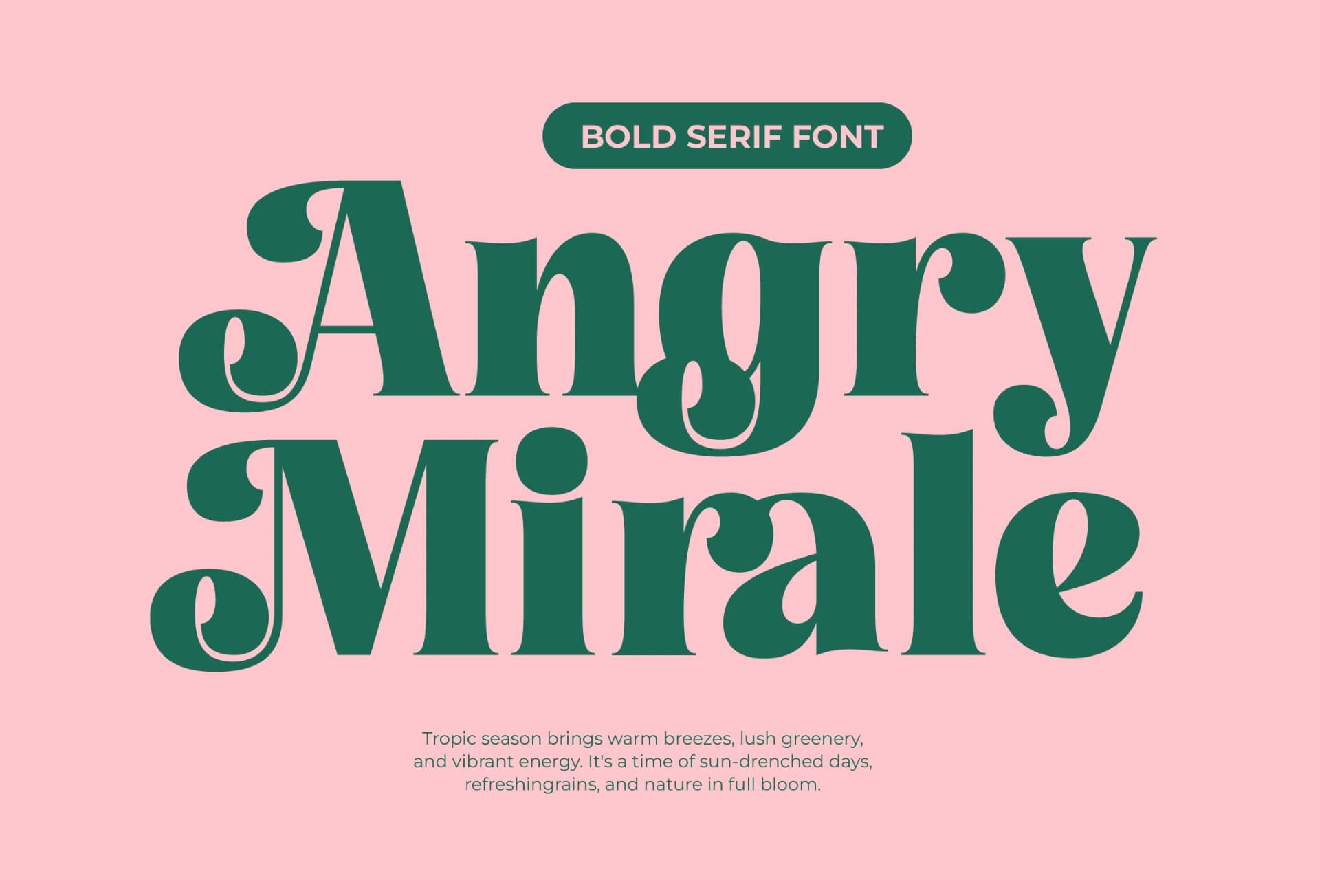 Preview 2 for Tropic Fresh Vintage - Bold Serif Font
