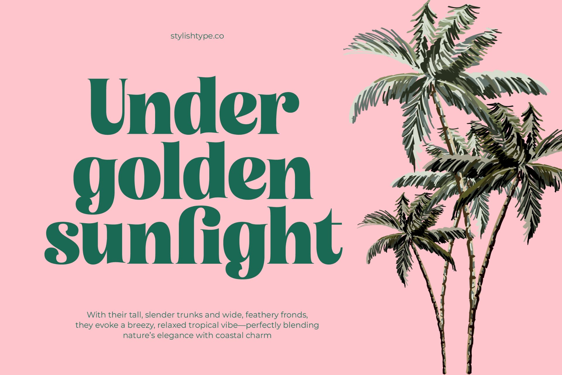 Preview 6 for Tropic Fresh Vintage - Bold Serif Font
