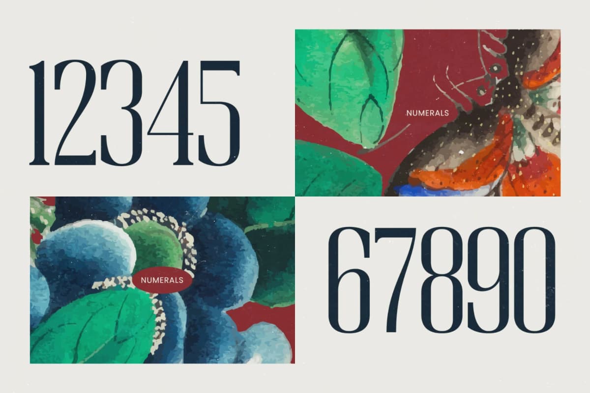Broswick - Bold Tall Serif Display Font font preview 12