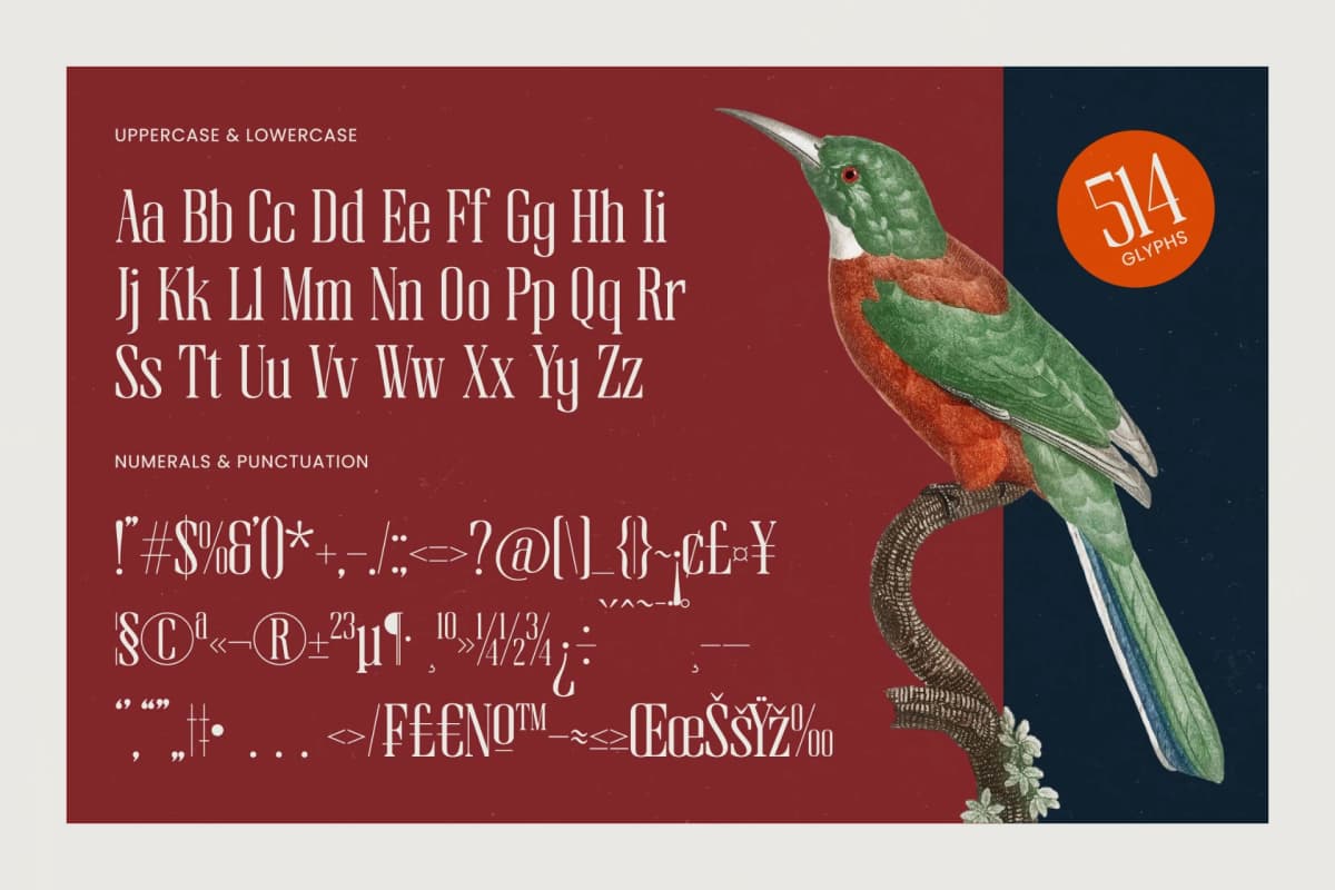 Broswick - Bold Tall Serif Display Font font preview 18