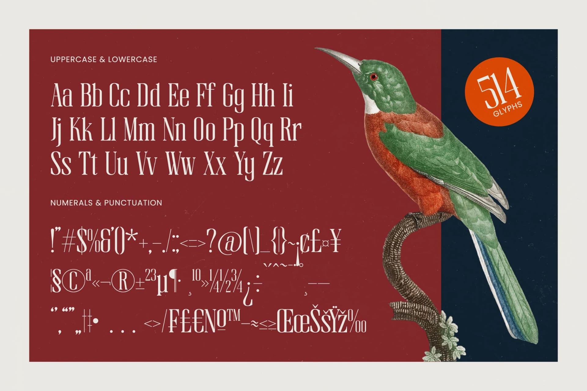 Preview 18 for Broswick - Bold Tall Serif Display Font