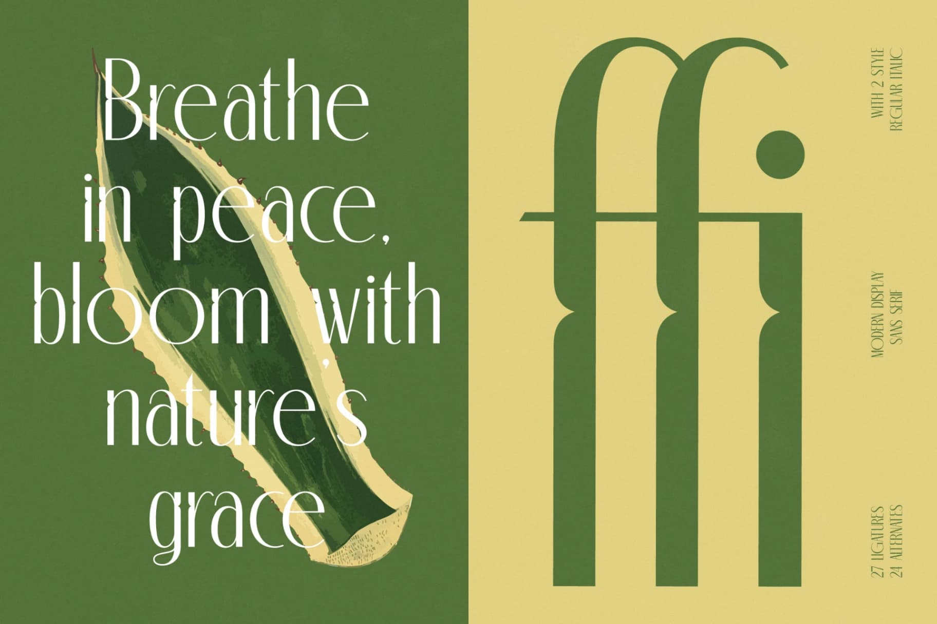 Preview 3 for Classic Makore - Modern Display Serif Font
