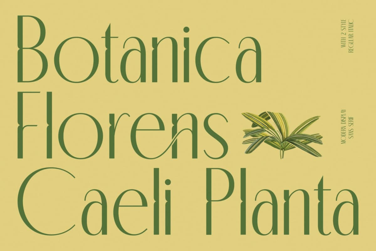 Classic Makore - Modern Display Serif Font font preview 8