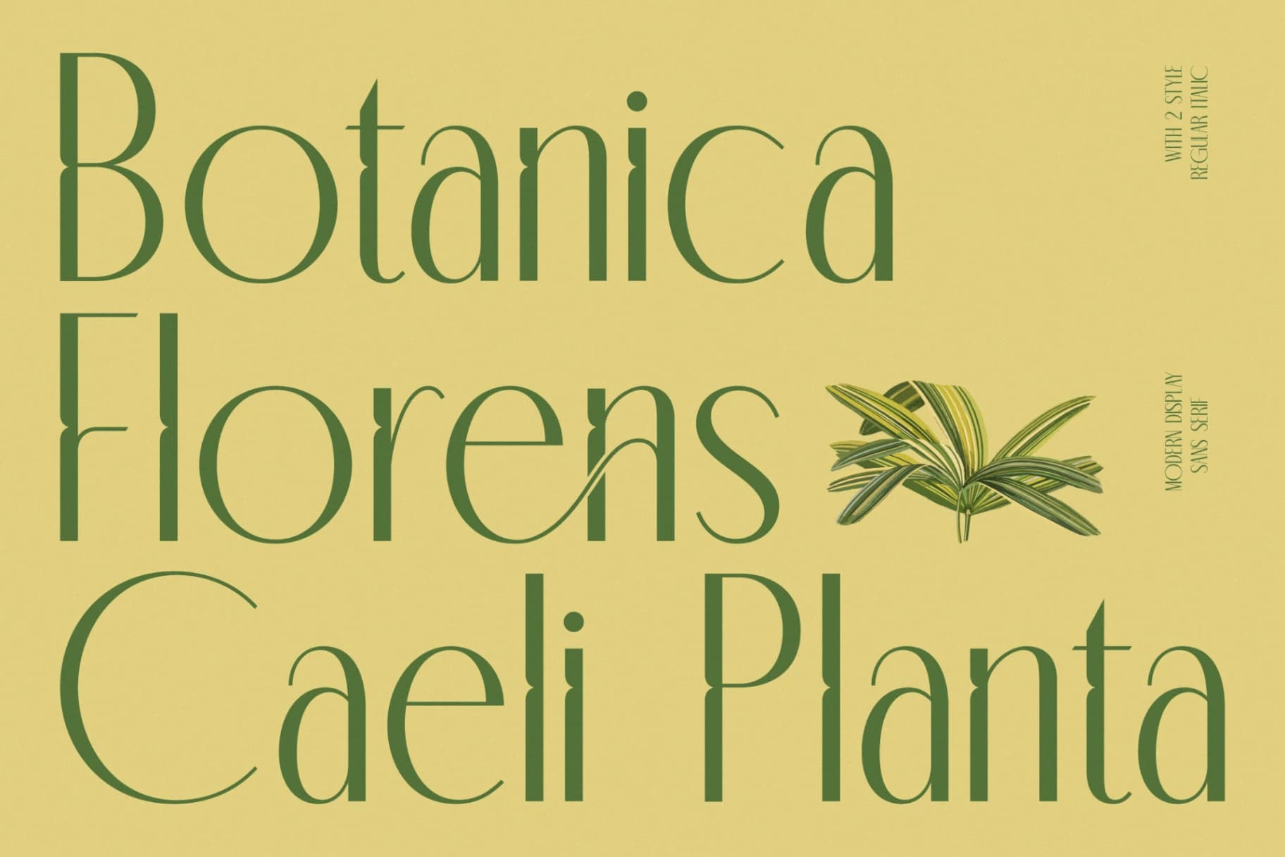 Preview 8 for Classic Makore - Modern Display Serif Font
