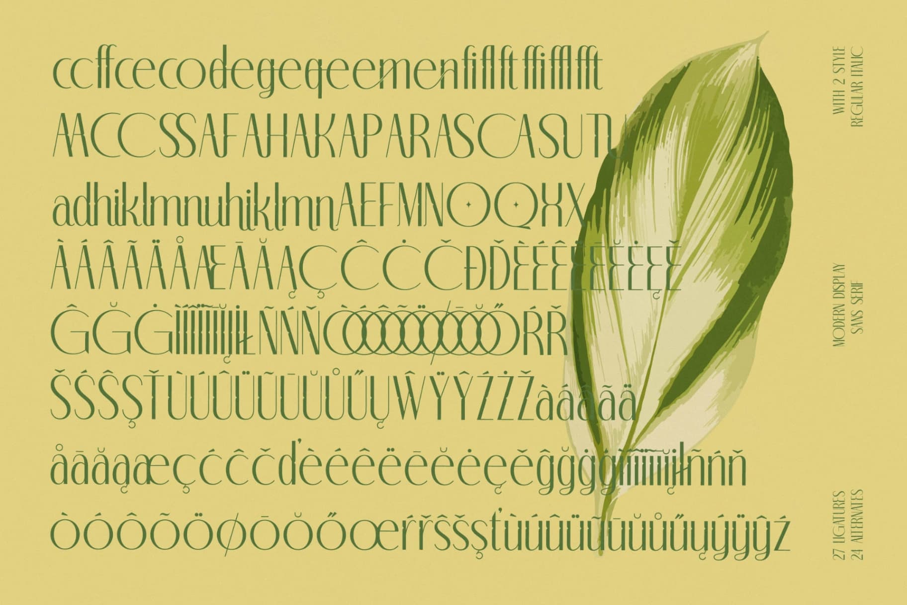 Preview 19 for Classic Makore - Modern Display Serif Font