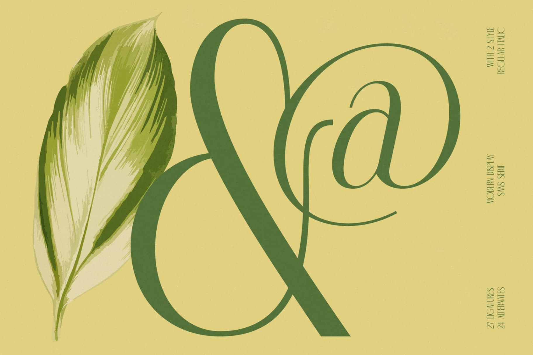 Preview 6 for Classic Makore - Modern Display Serif Font