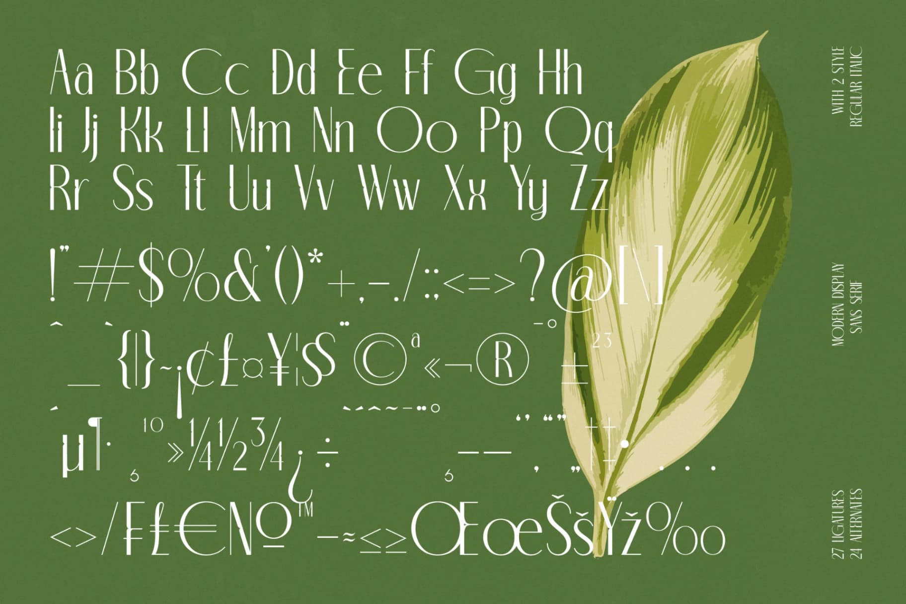 Preview 18 for Classic Makore - Modern Display Serif Font