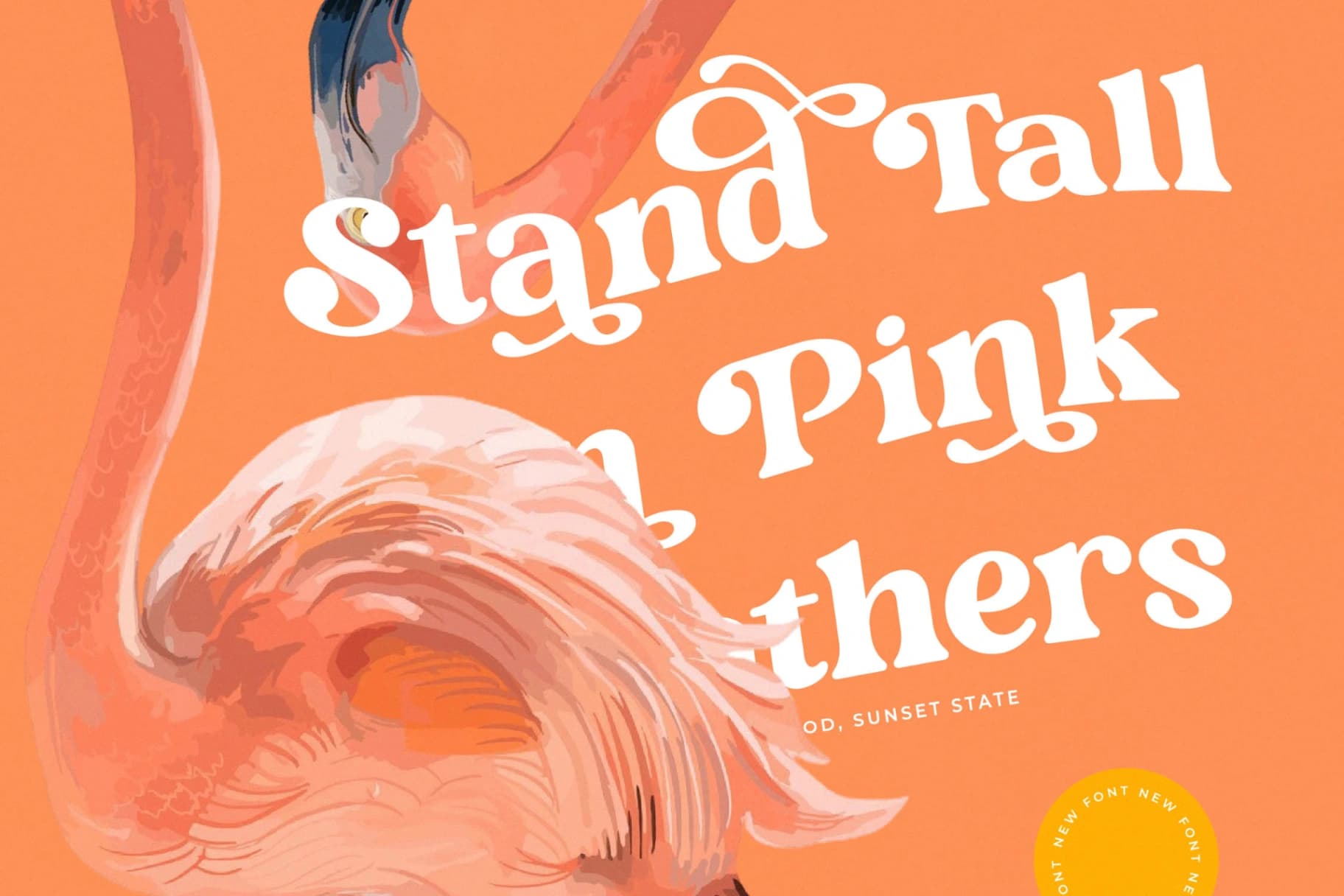 Preview 6 for Monday Funky - Modern Serif Font