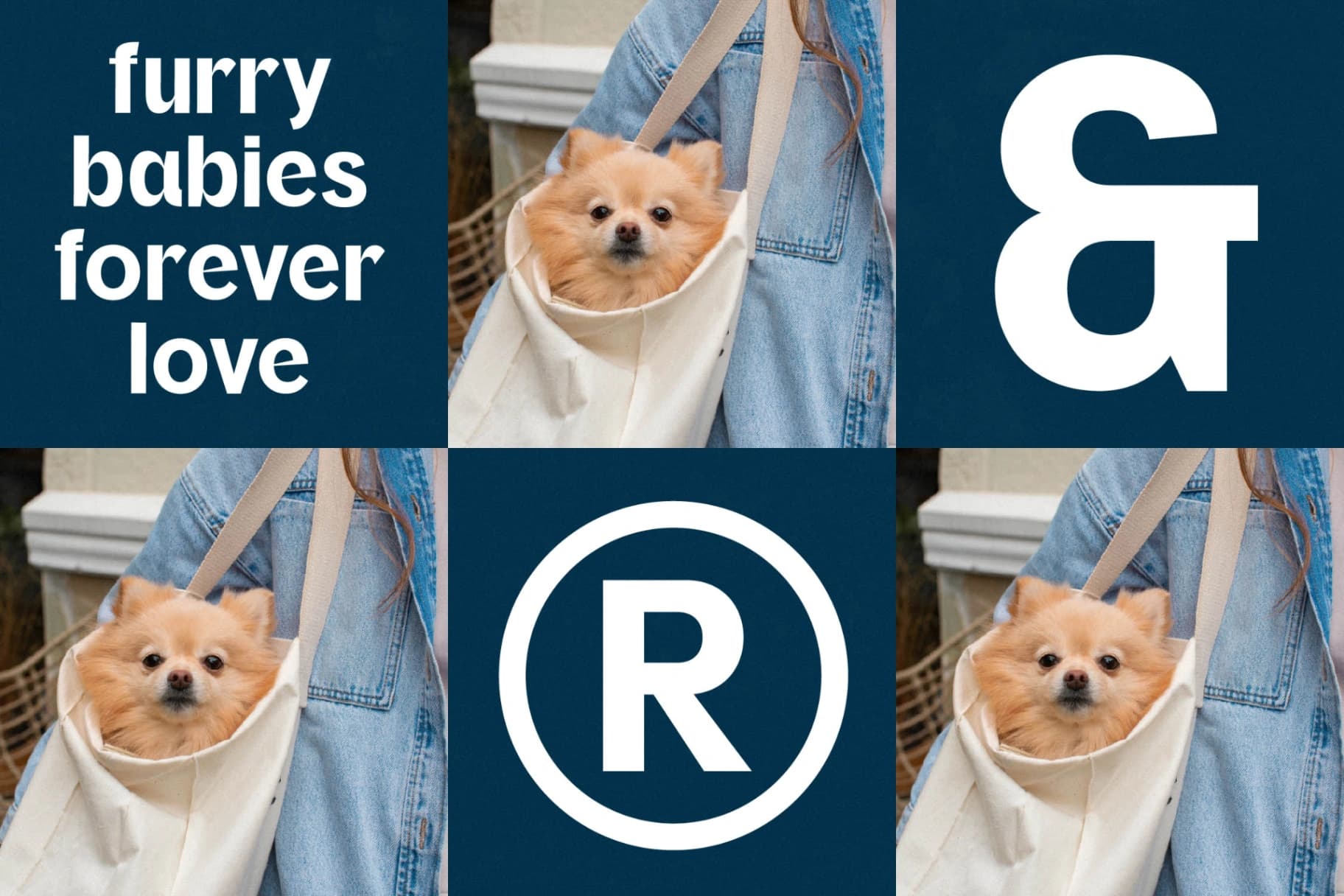 Preview 5 for Oritale - Modern Display Font