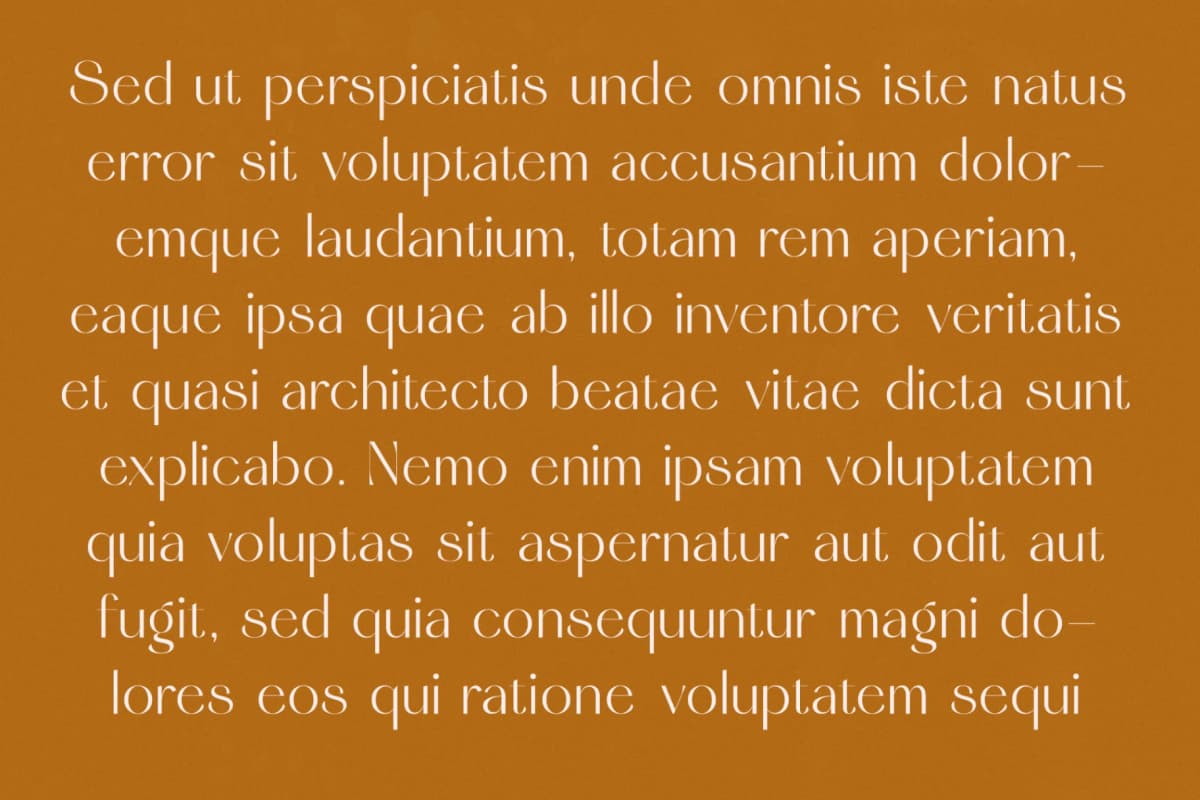 Stack Qisplay - Elegant Sans Serif Font font preview 3
