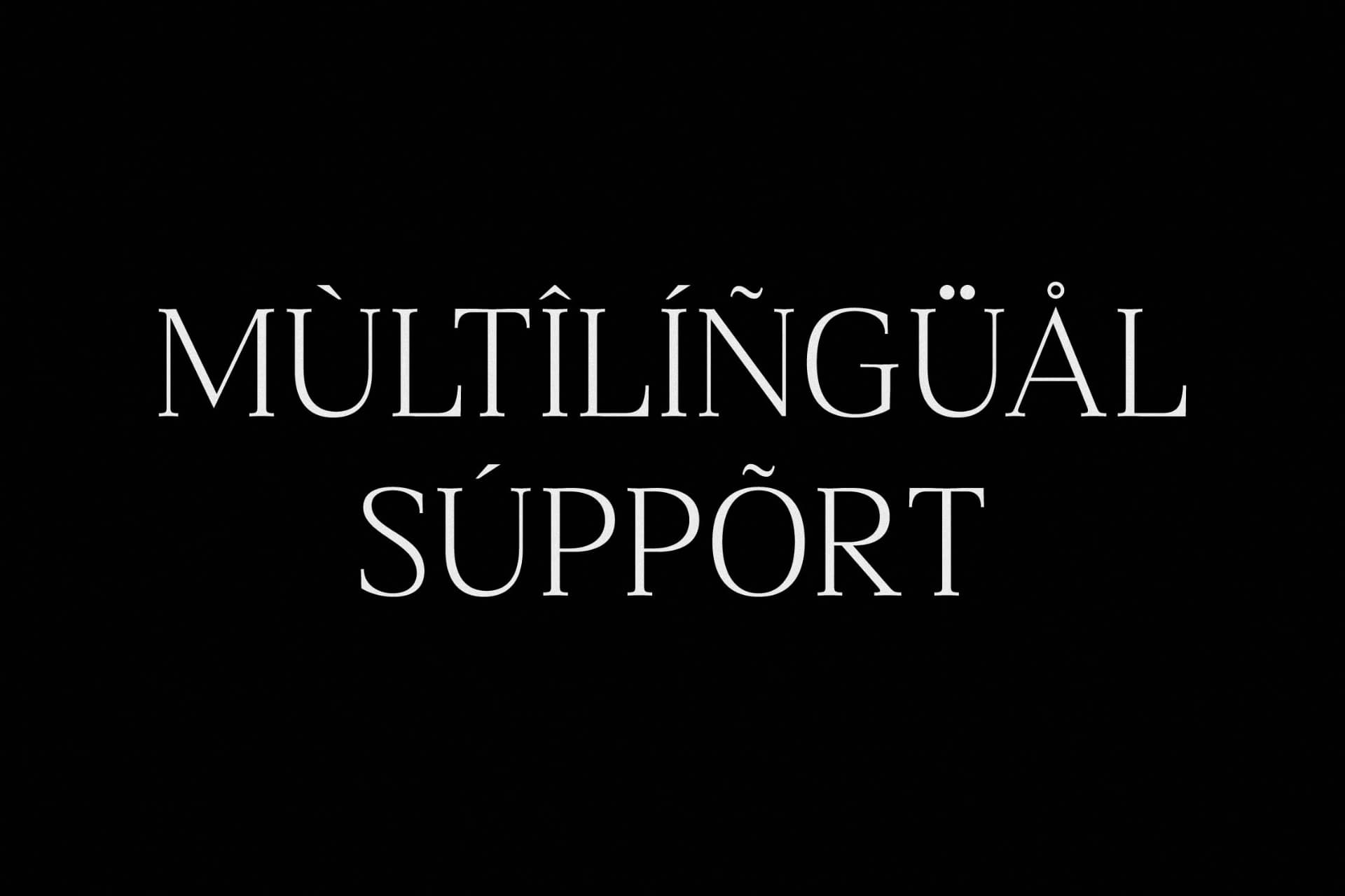 Preview 12 for Blacindy – Modern Serif Font