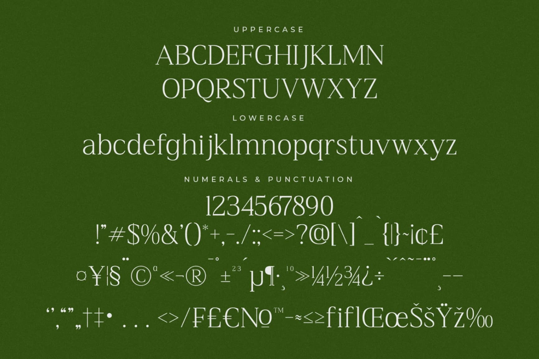 Preview 13 for Blacindy – Modern Serif Font