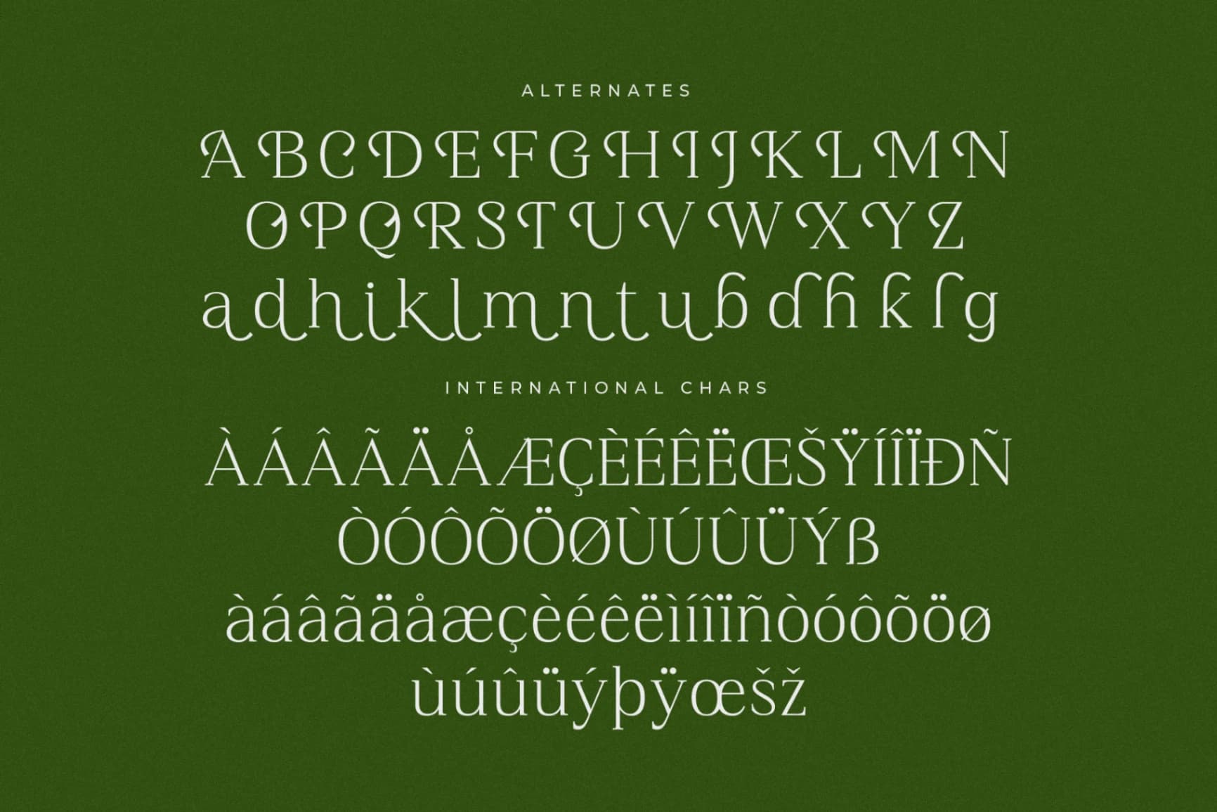 Preview 14 for Blacindy – Modern Serif Font