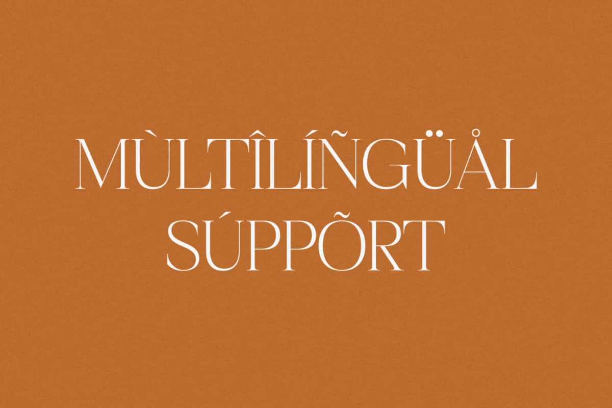 Preview 12 for Realife Moment – Modern Serif Font