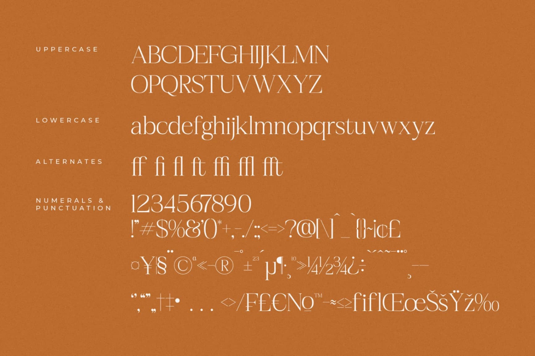 Preview 13 for Realife Moment – Modern Serif Font