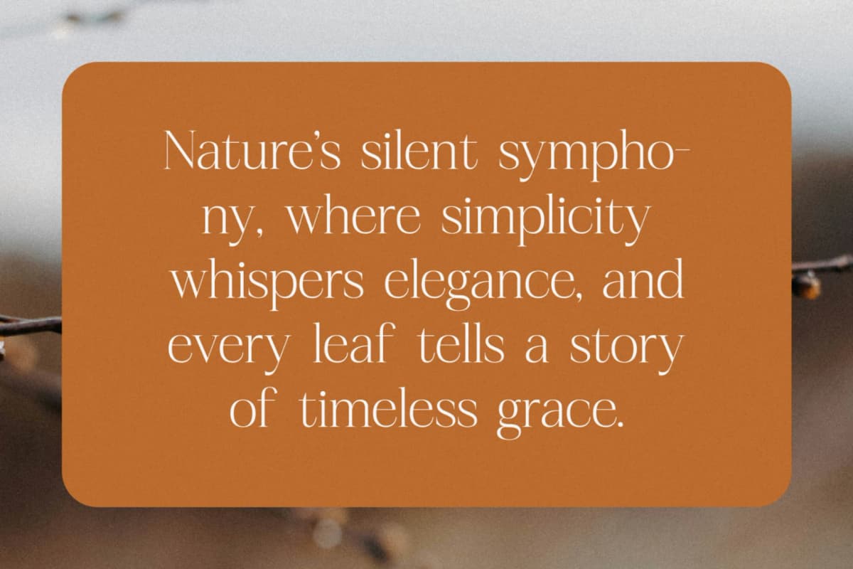 Preview 5 for Realife Moment – Modern Serif Font