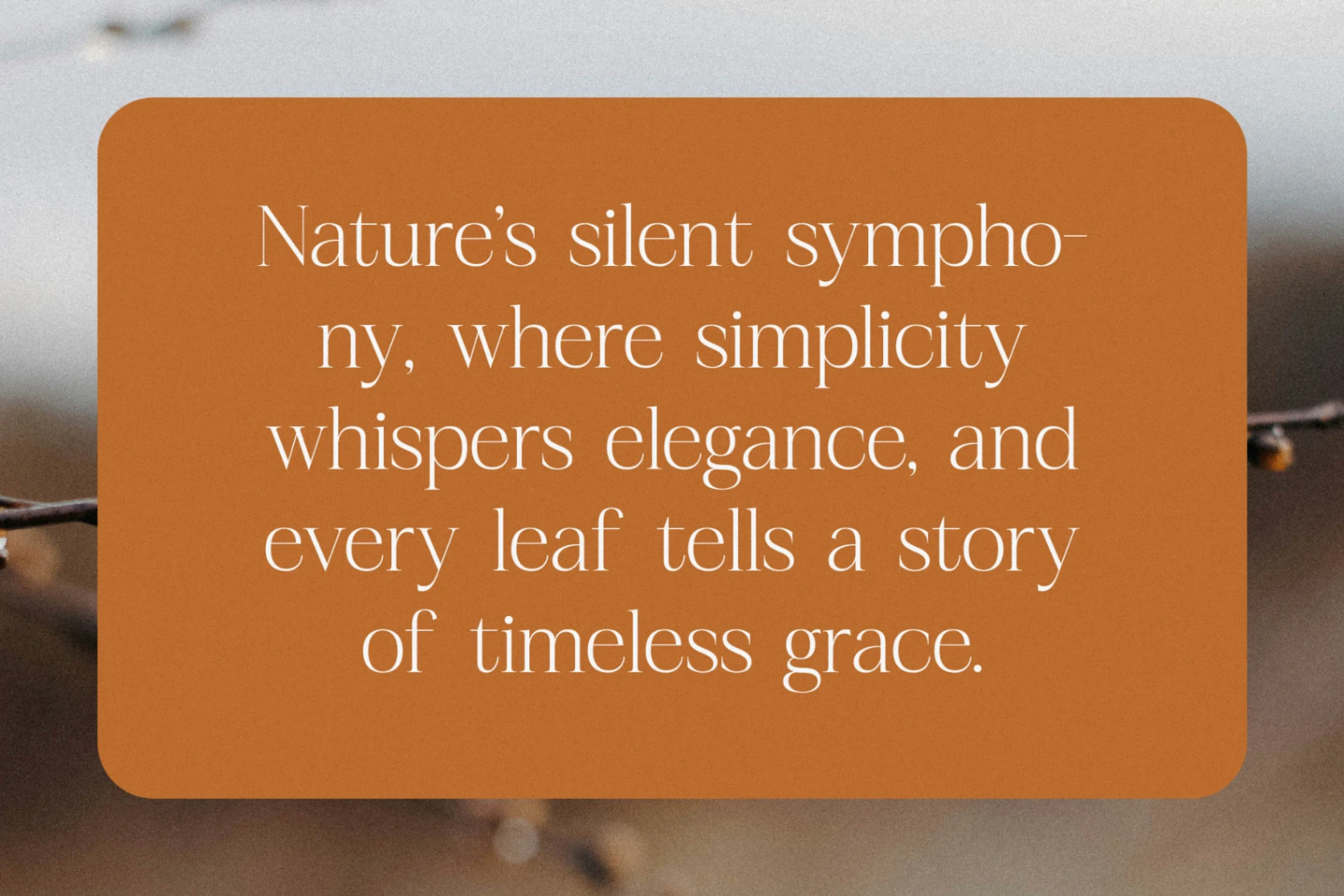 Preview 5 for Realife Moment – Modern Serif Font