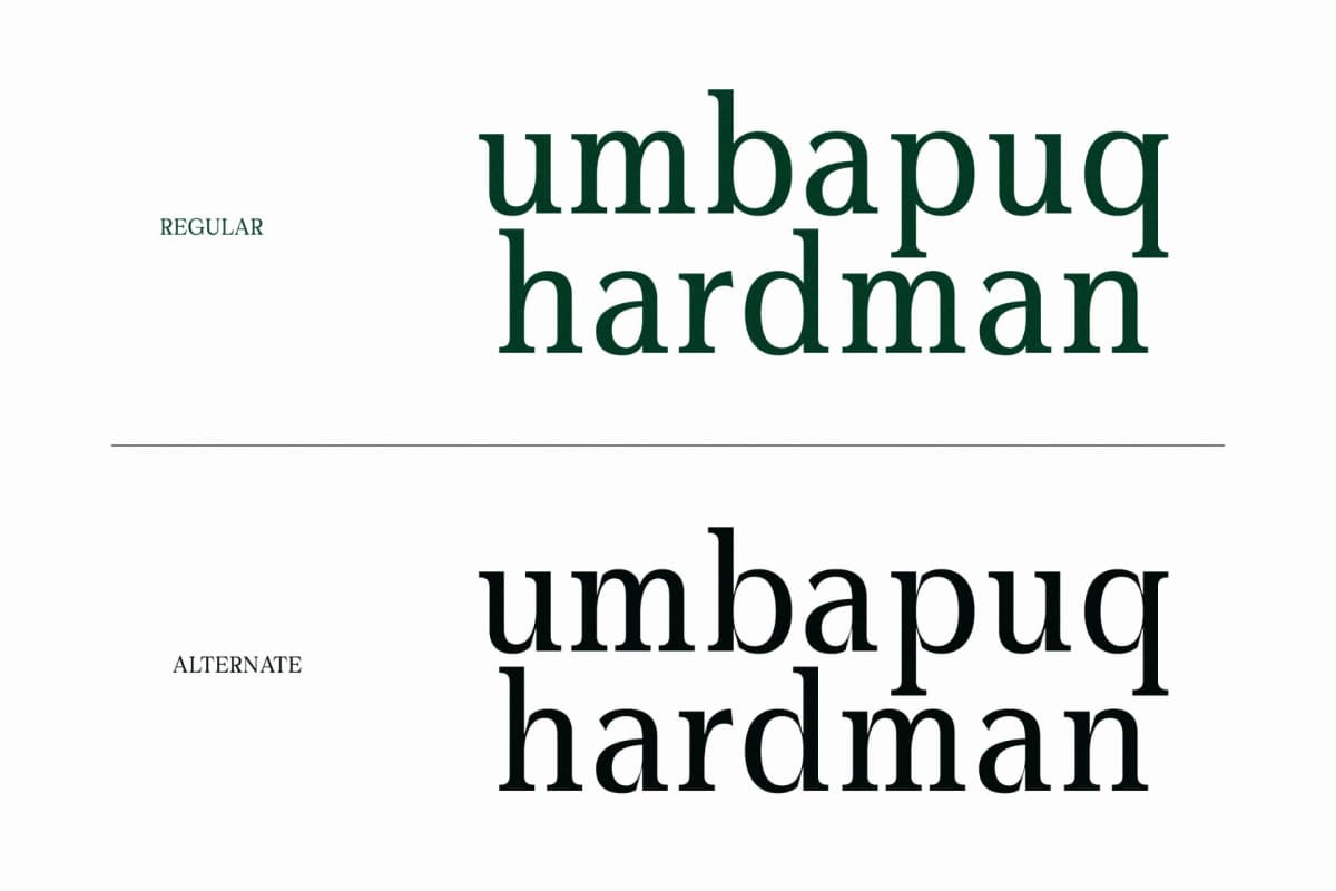 Gardmun Kinsley – Modern Serif Font font preview 5