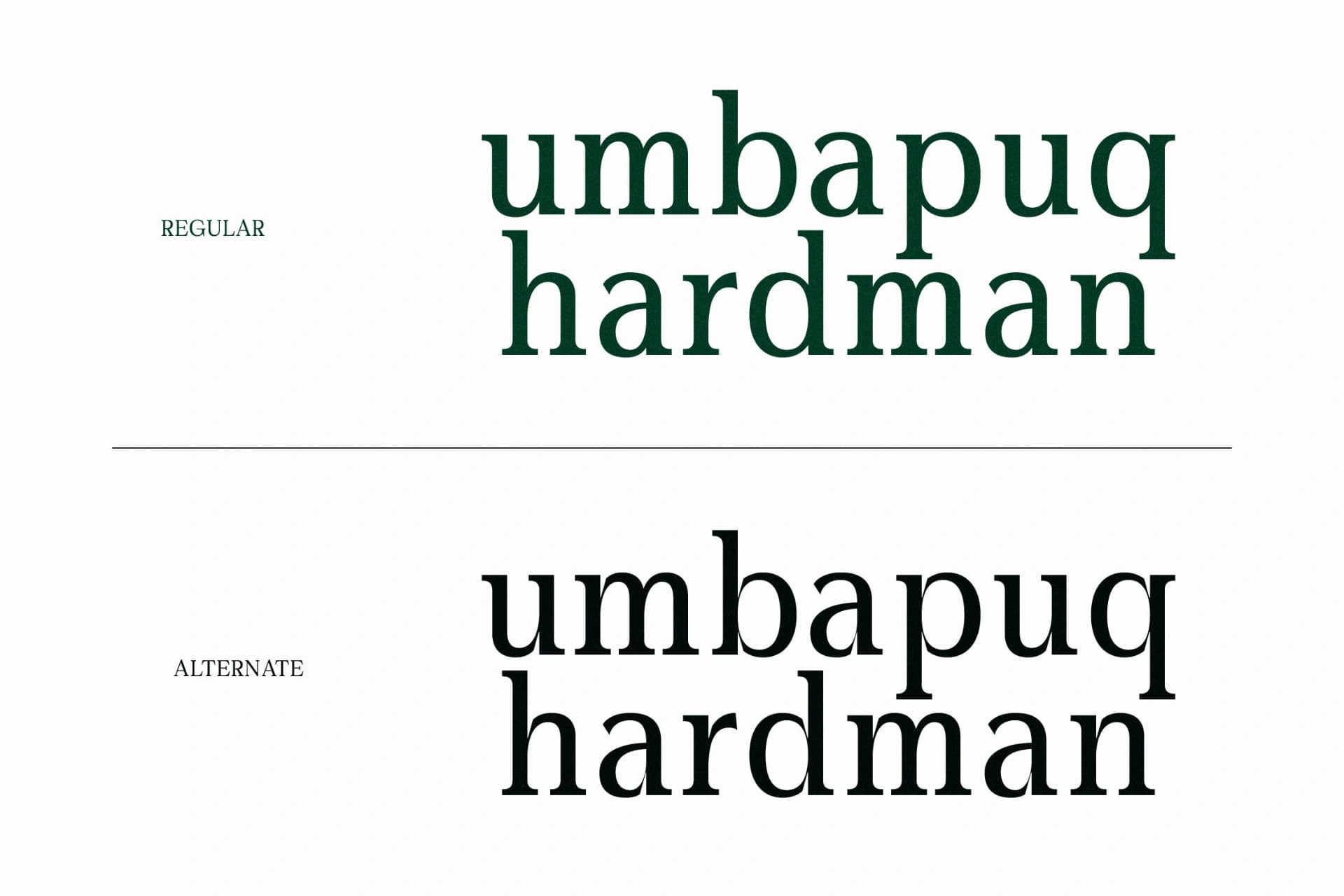 Preview 5 for Gardmun Kinsley – Modern Serif Font
