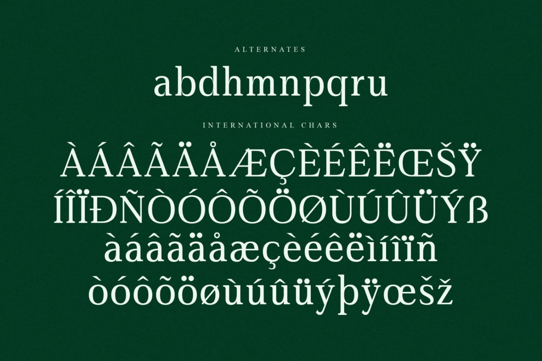 Preview 14 for Gardmun Kinsley – Modern Serif Font
