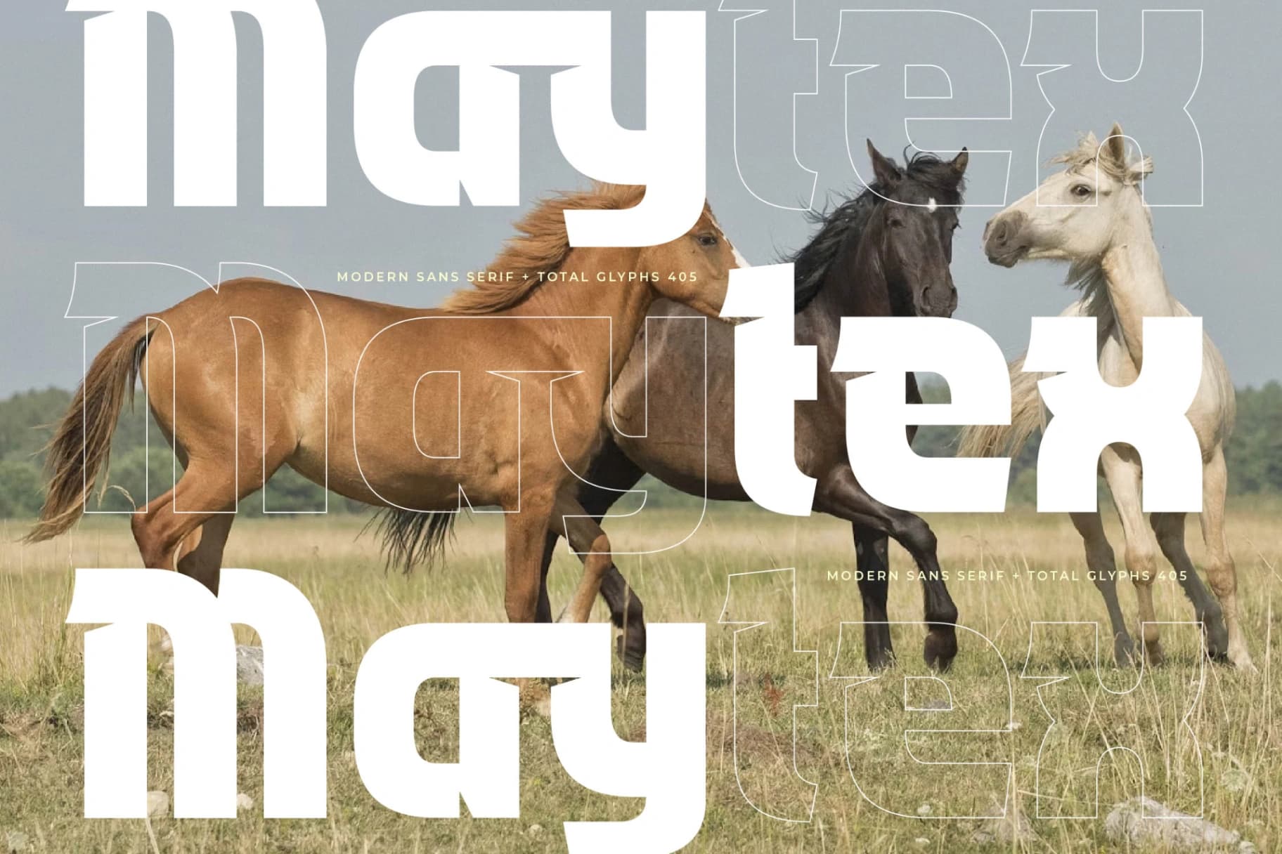 Preview 9 for Maytex - Modern Sans Serif Font