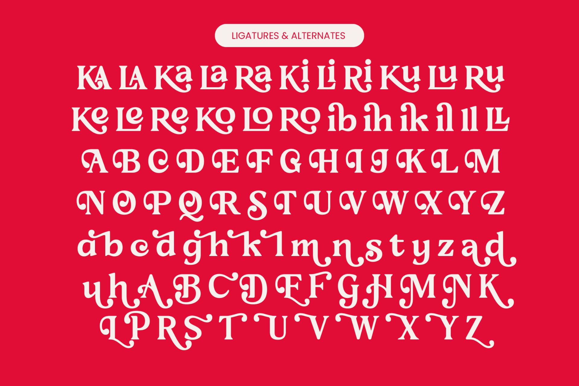 Preview 18 for Loyale Rosell - Modern Serif Display