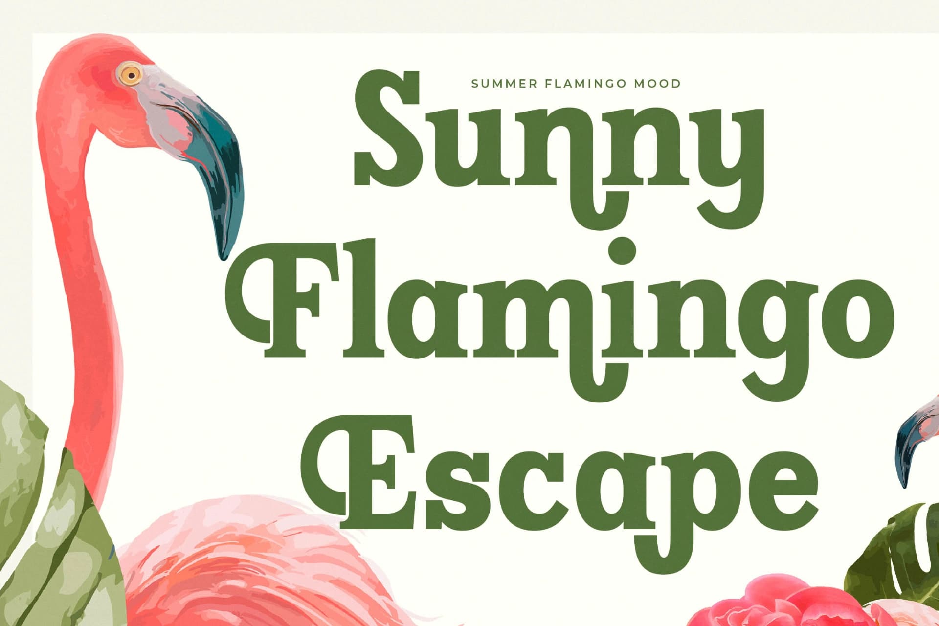 Preview 14 for Island Boyage - Modern Serif Display
