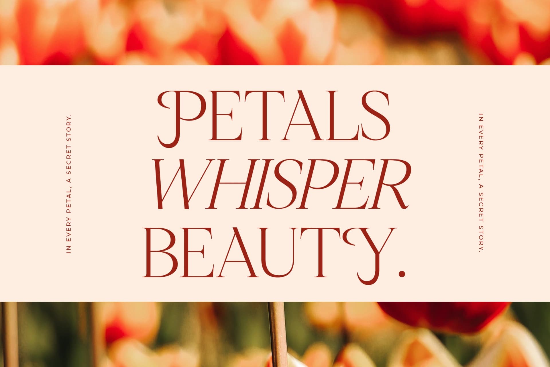 Preview 4 for Nagista – Modern Serif Font