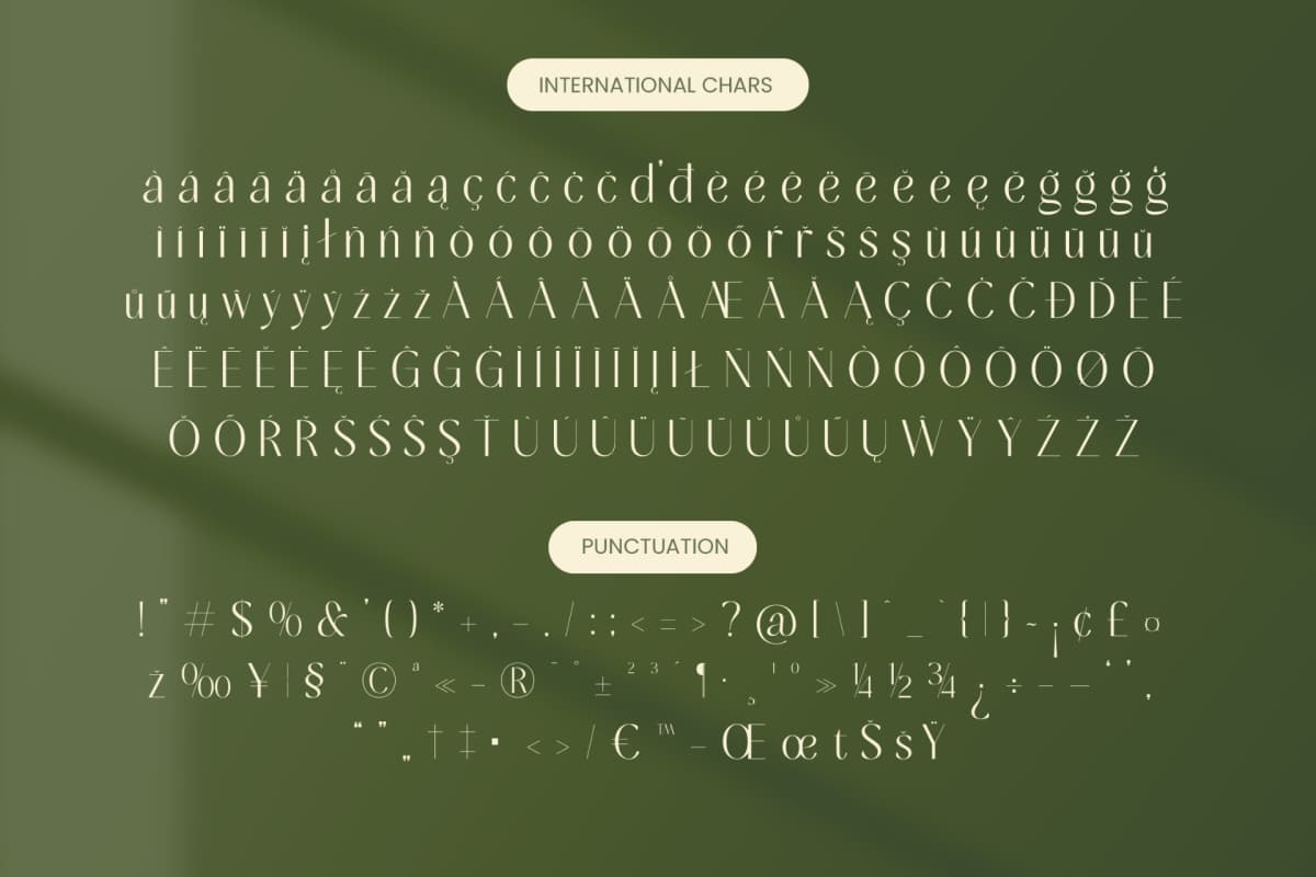 Mugia - Minimalist Sans Serif Font font preview 19