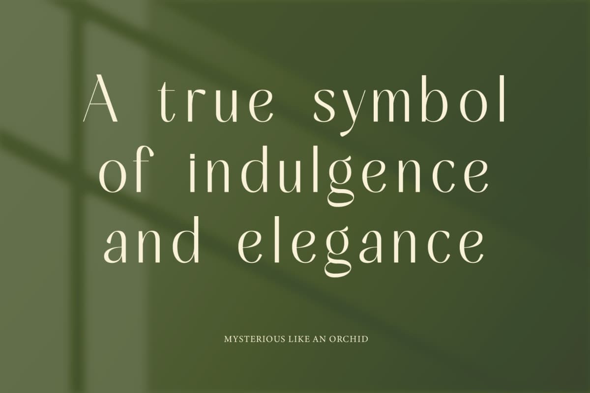 Mugia - Minimalist Sans Serif Font font preview 7