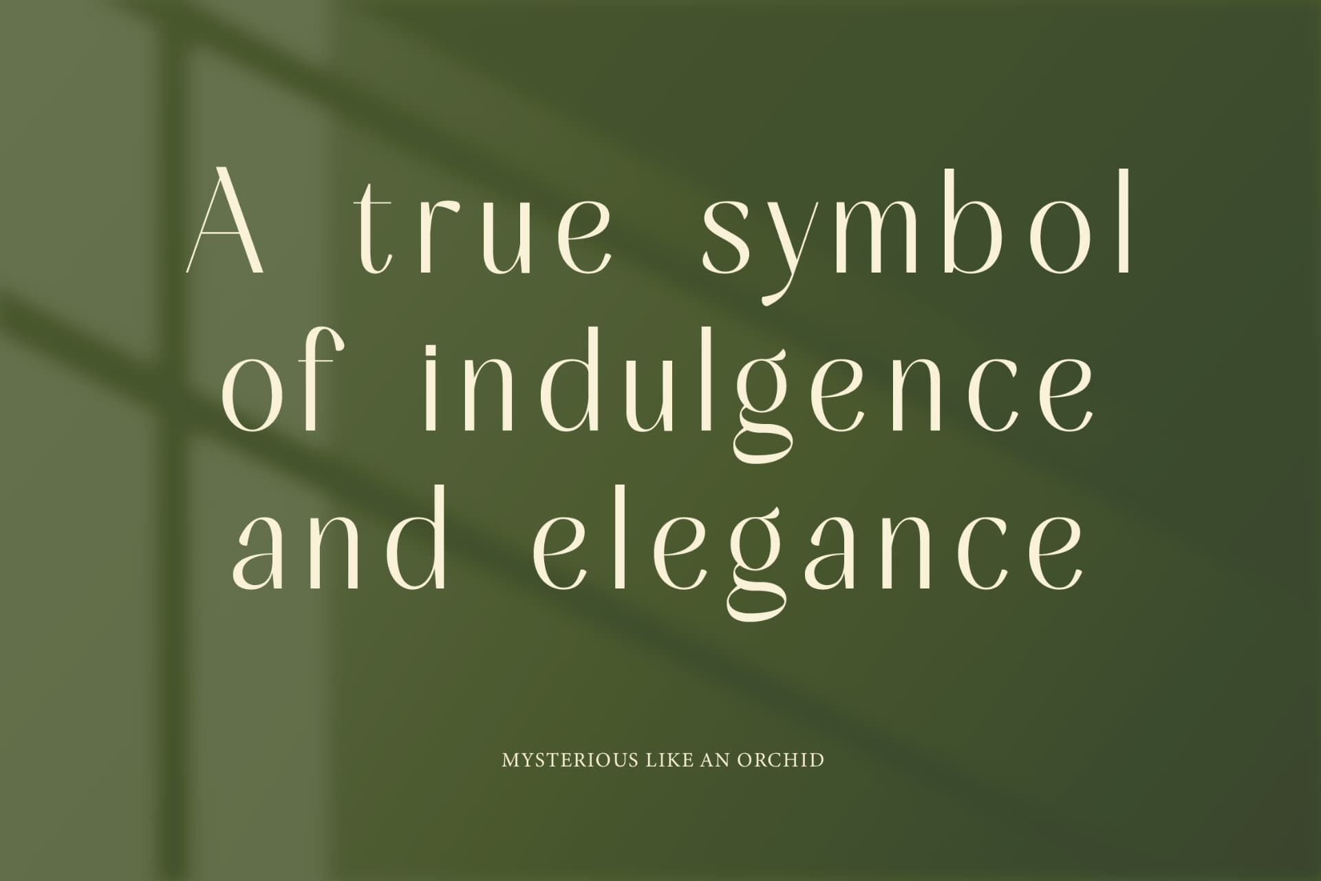 Preview 7 for Mugia - Minimalist Sans Serif Font