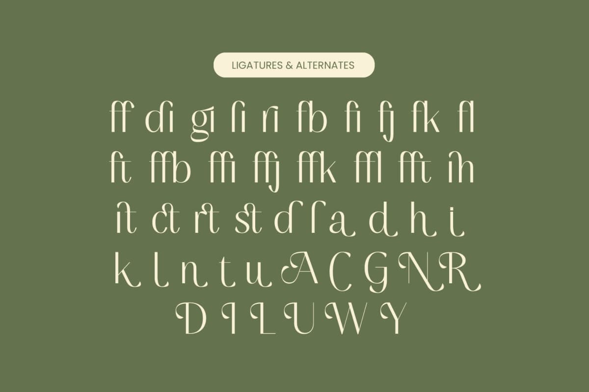 Mugia - Minimalist Sans Serif Font font preview 18