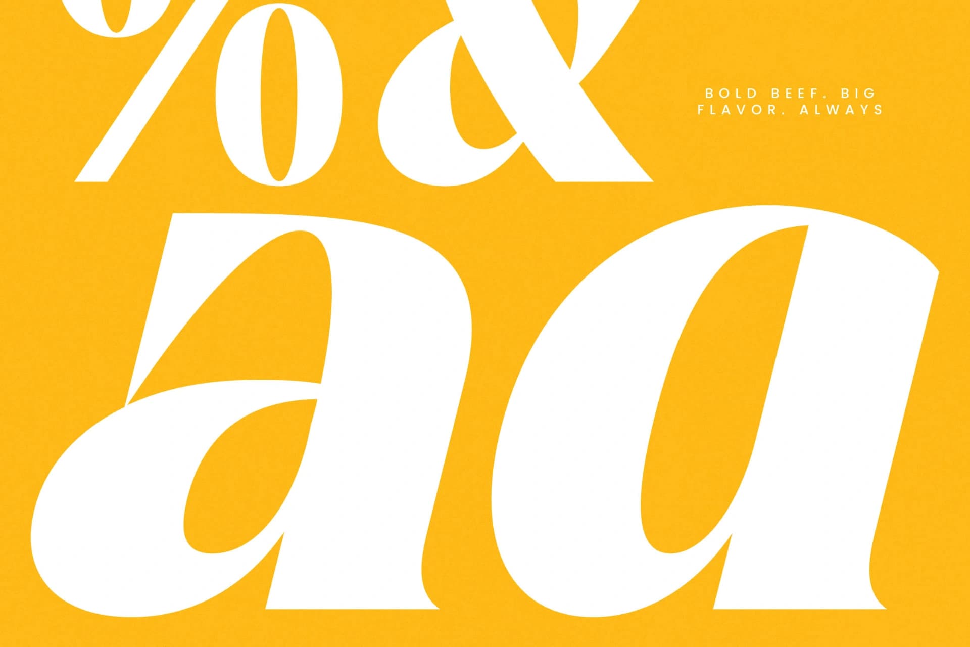 Preview 6 for Night Roasty - Modern Serif Font
