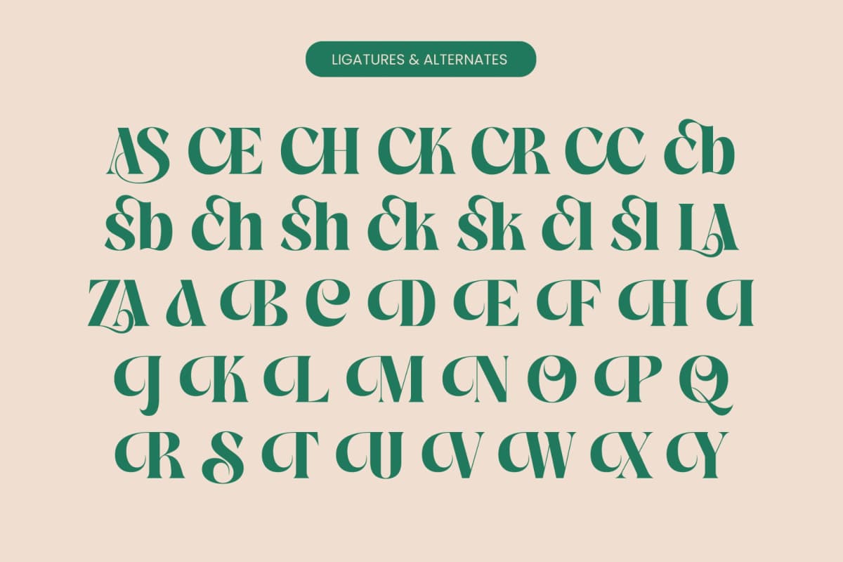The Bencoy - Modern Serif Font font preview 18