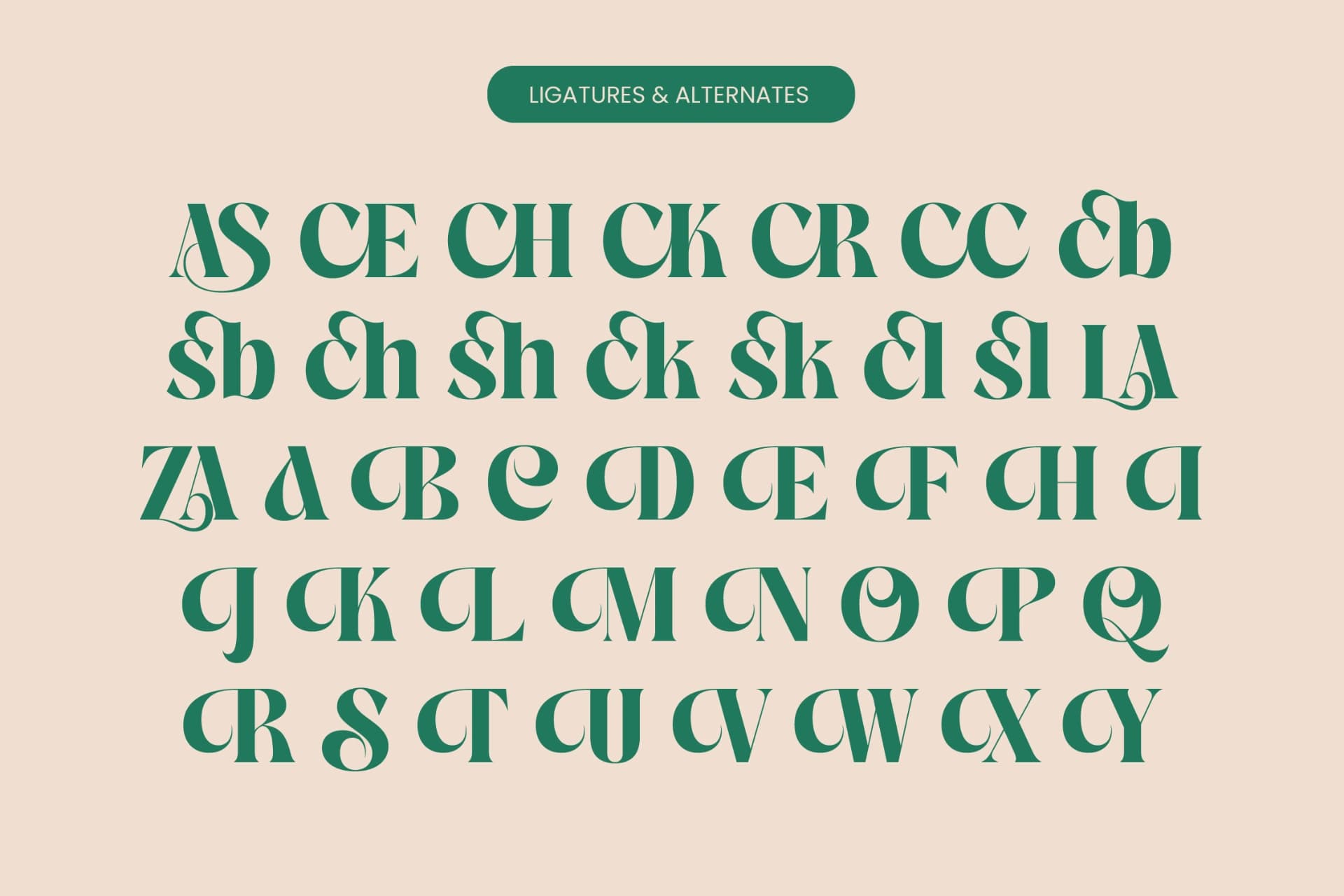 Preview 18 for The Bencoy - Modern Serif Font