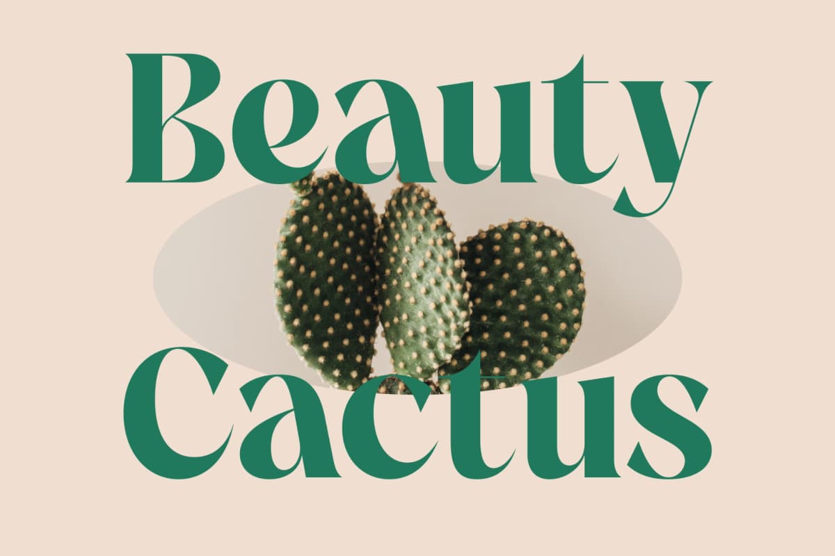 The Bencoy - Modern Serif Font font preview 12